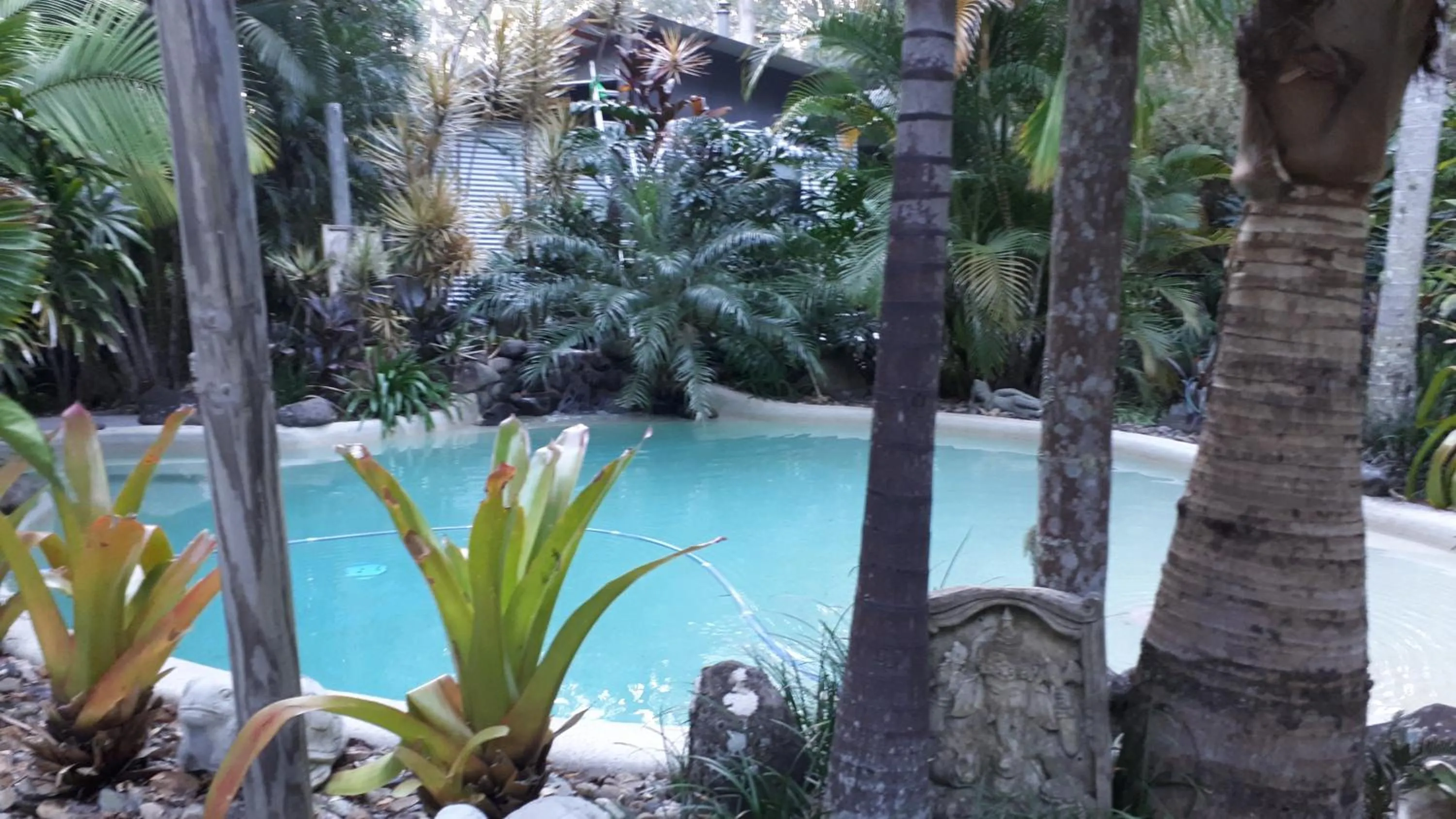 Pool view in Alaya Ascend