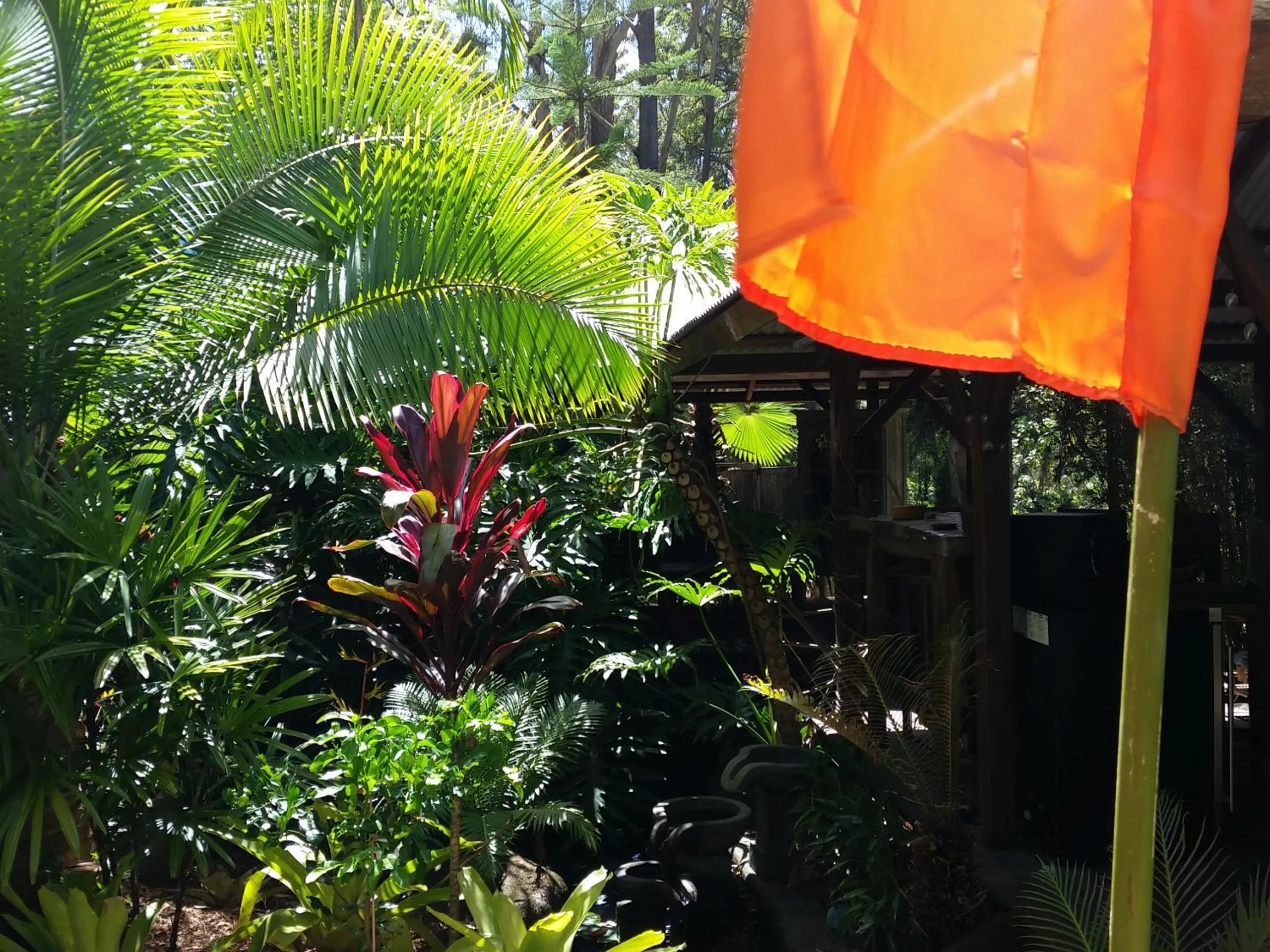 Area and facilities in Alaya Ascend