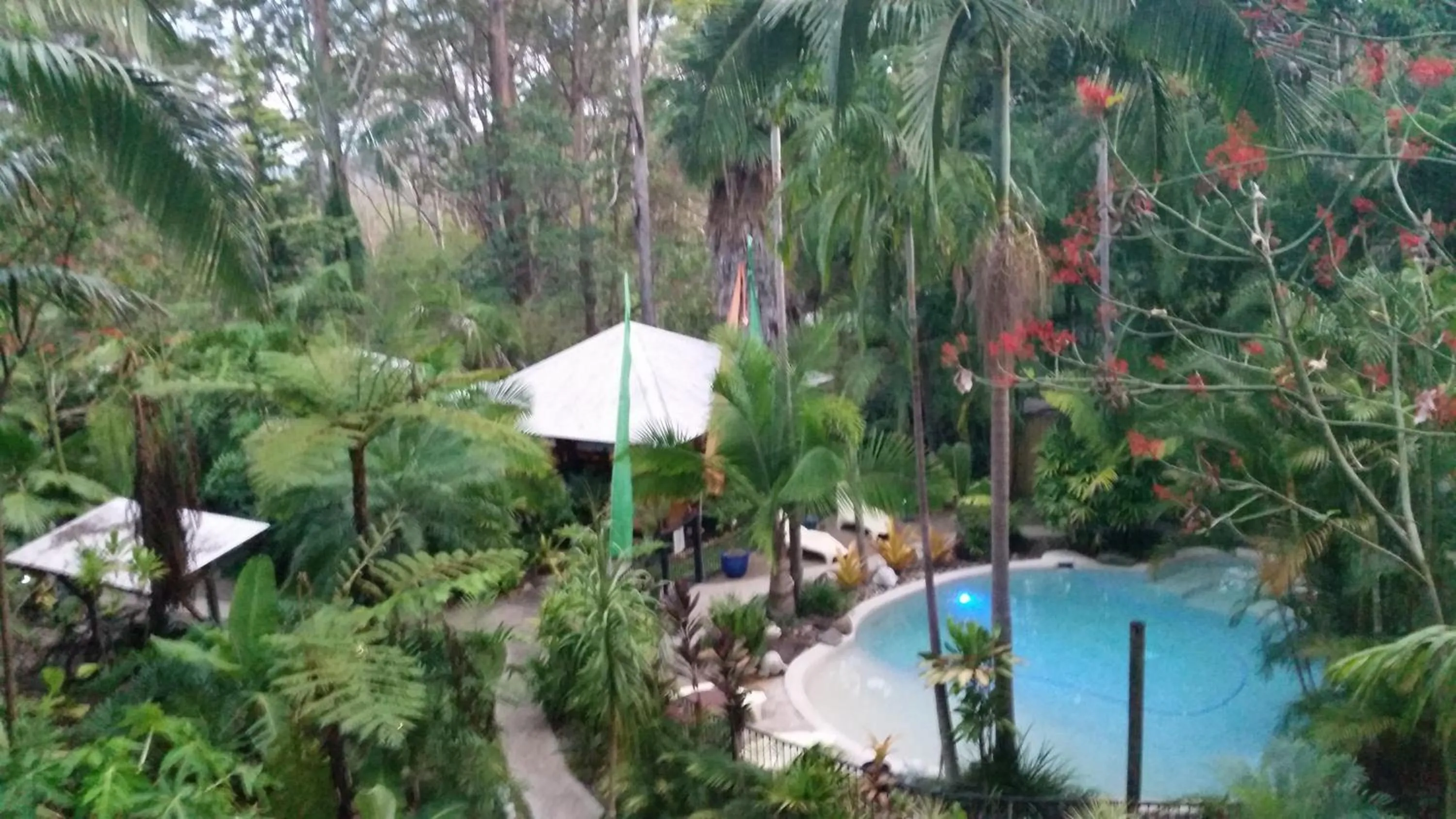 Garden view in Alaya Ascend