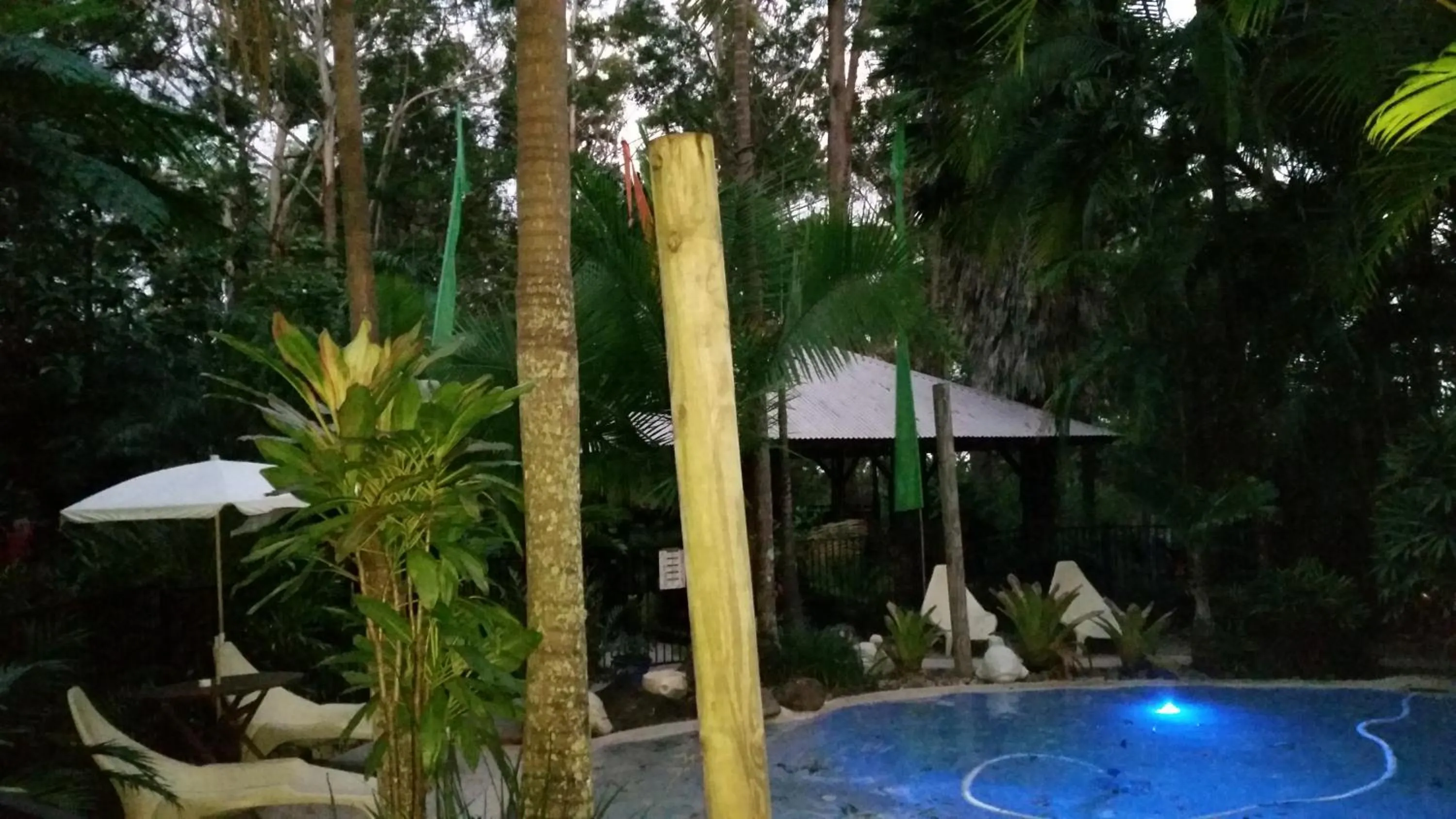 Other in Alaya Ascend