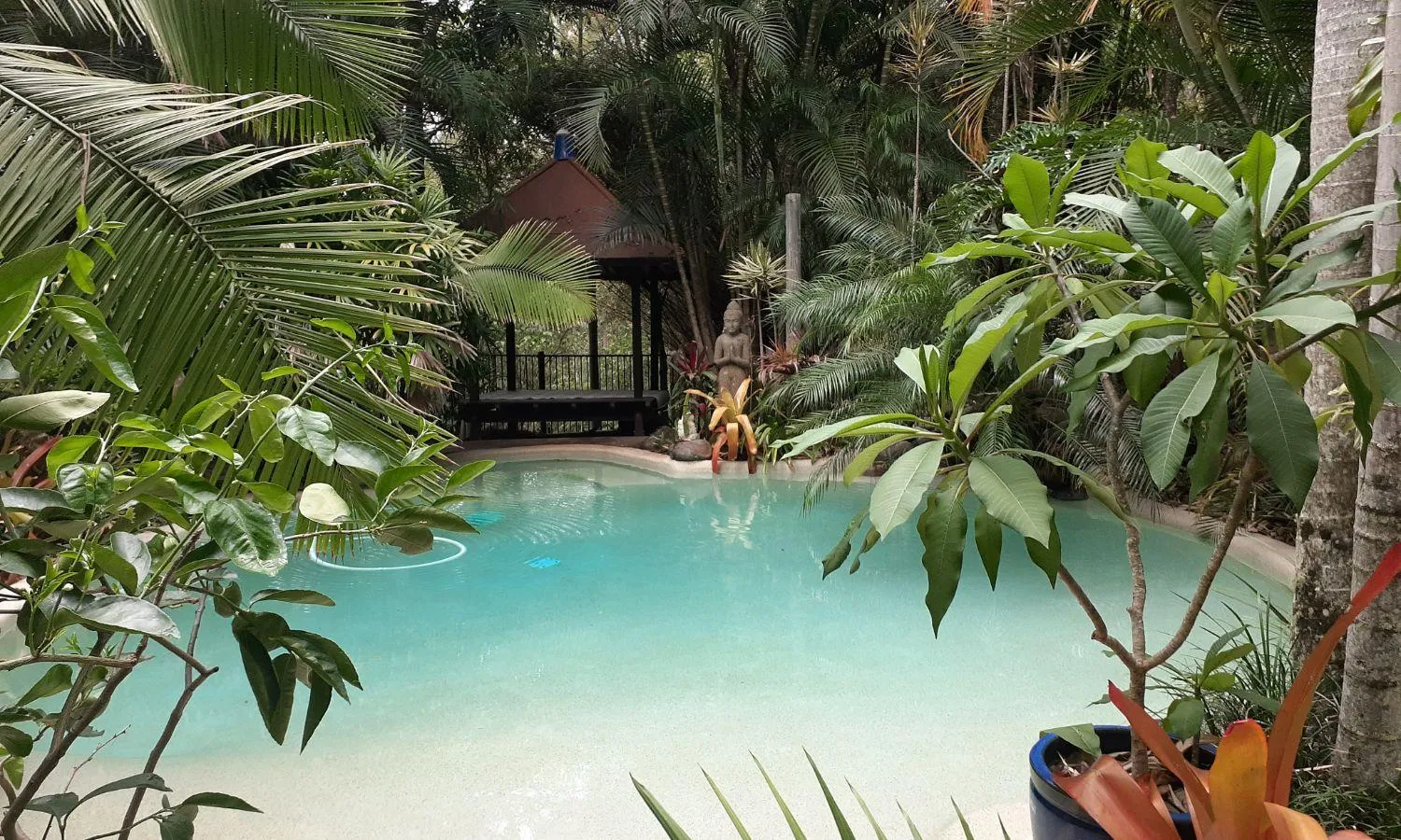 Pool view in Alaya Ascend