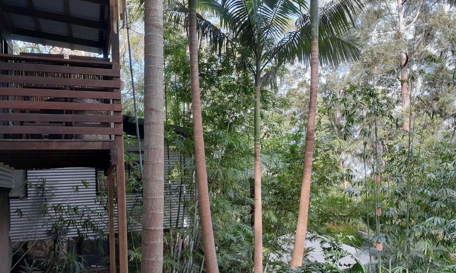 Property building in Alaya Ascend