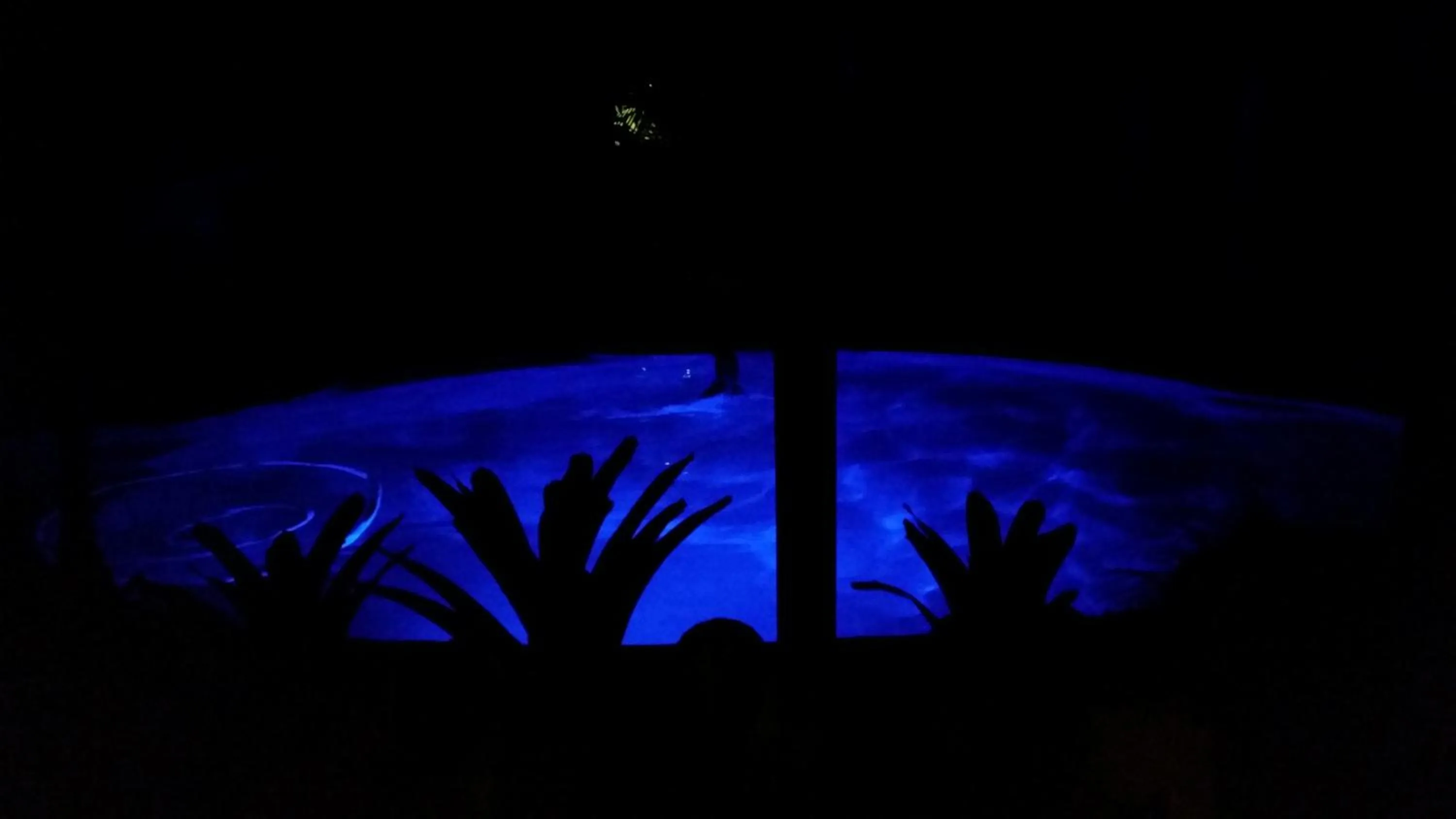 Swimming pool in Alaya Ascend