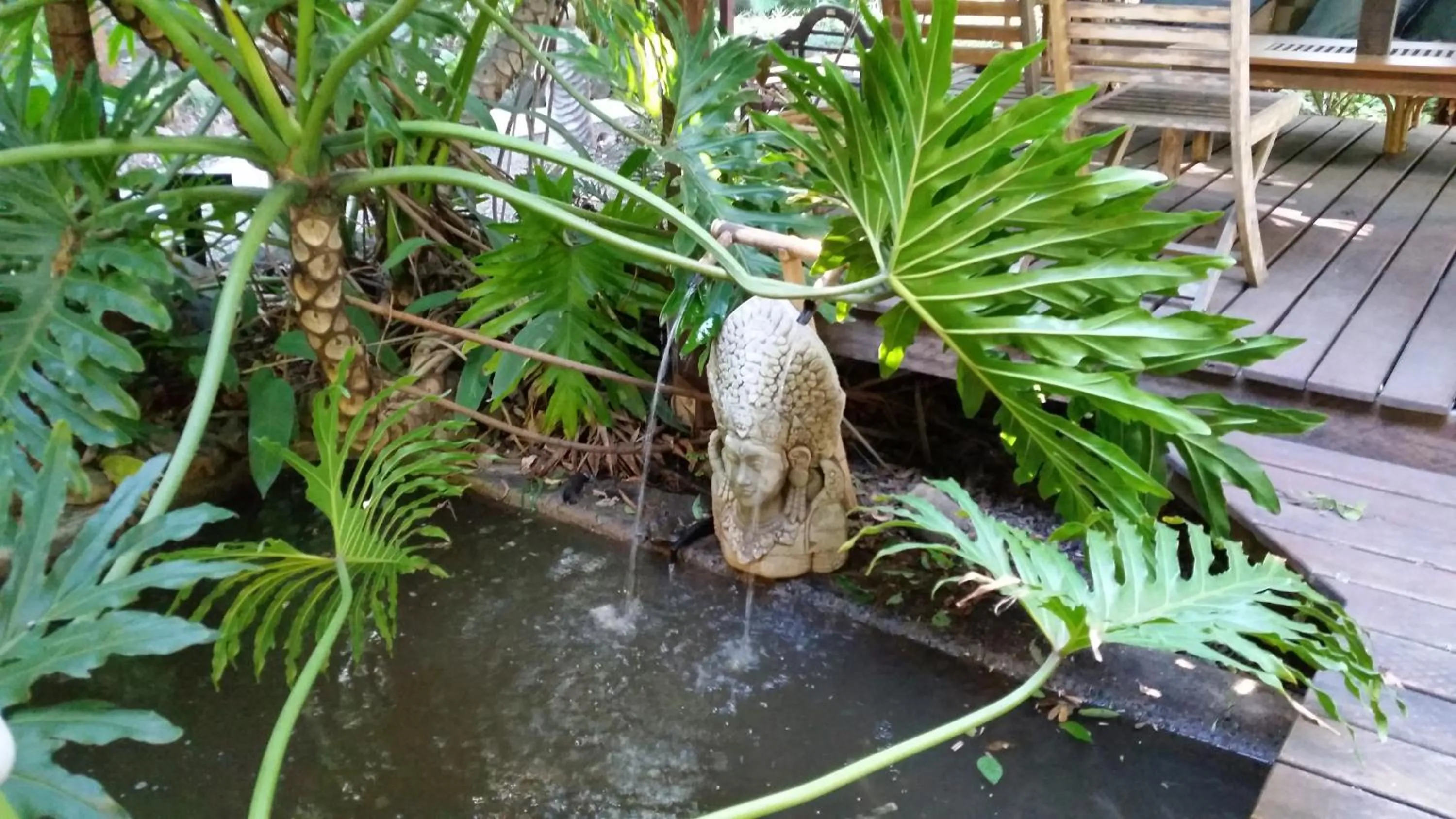 Natural landscape in Alaya Ascend