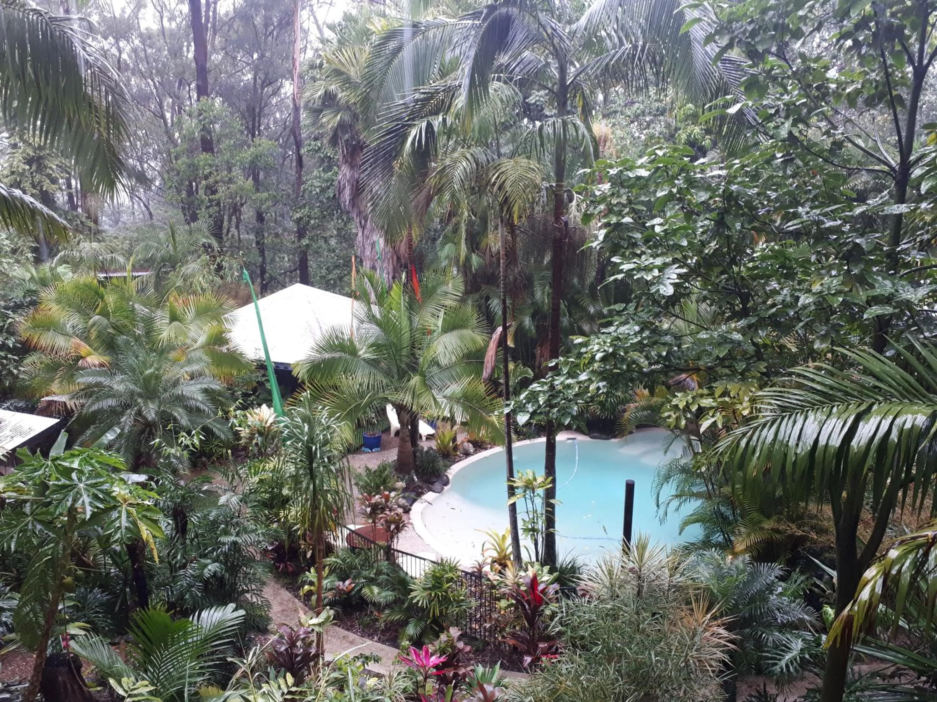 Pool view in Alaya Ascend