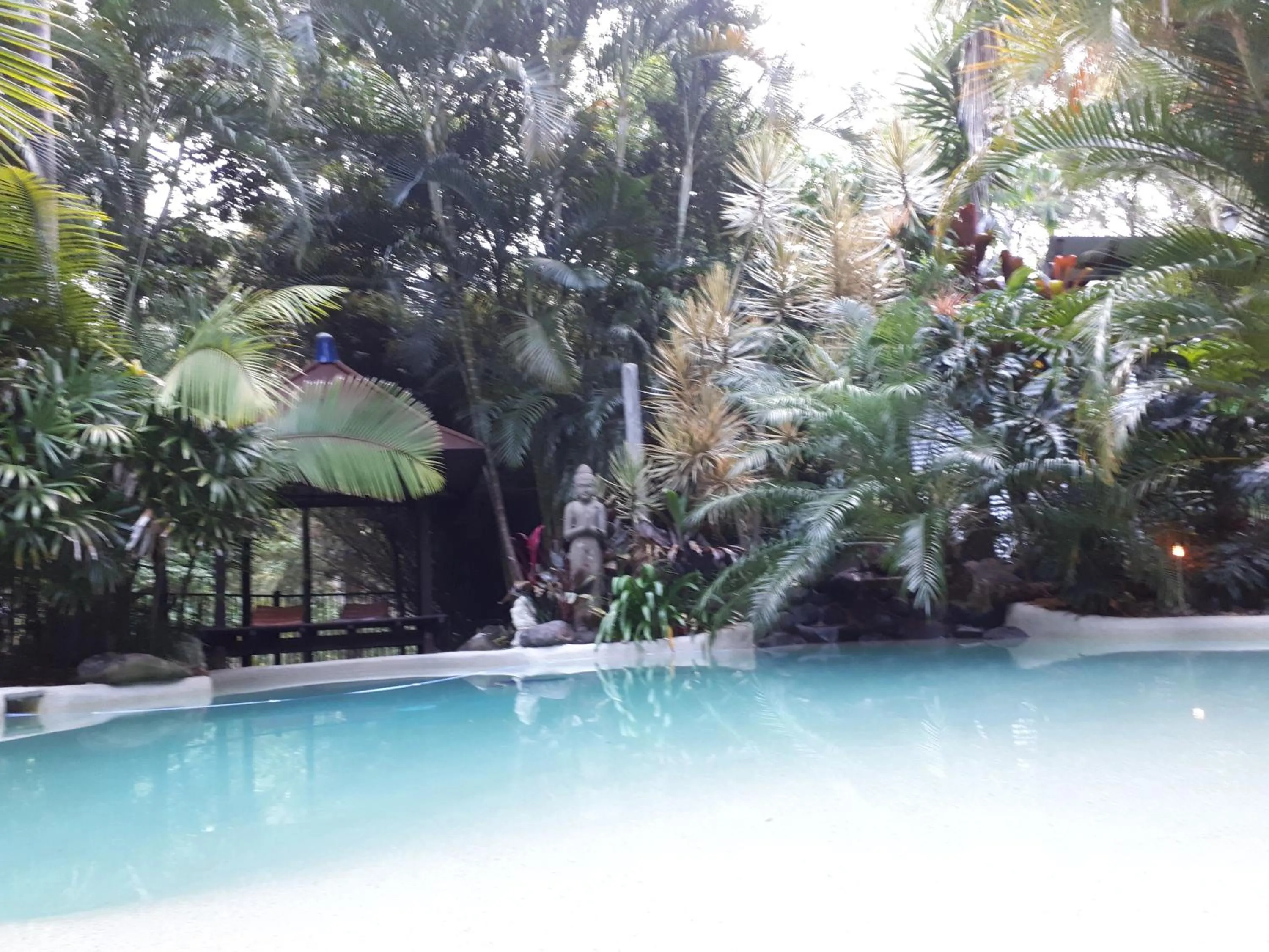 Swimming pool in Alaya Ascend