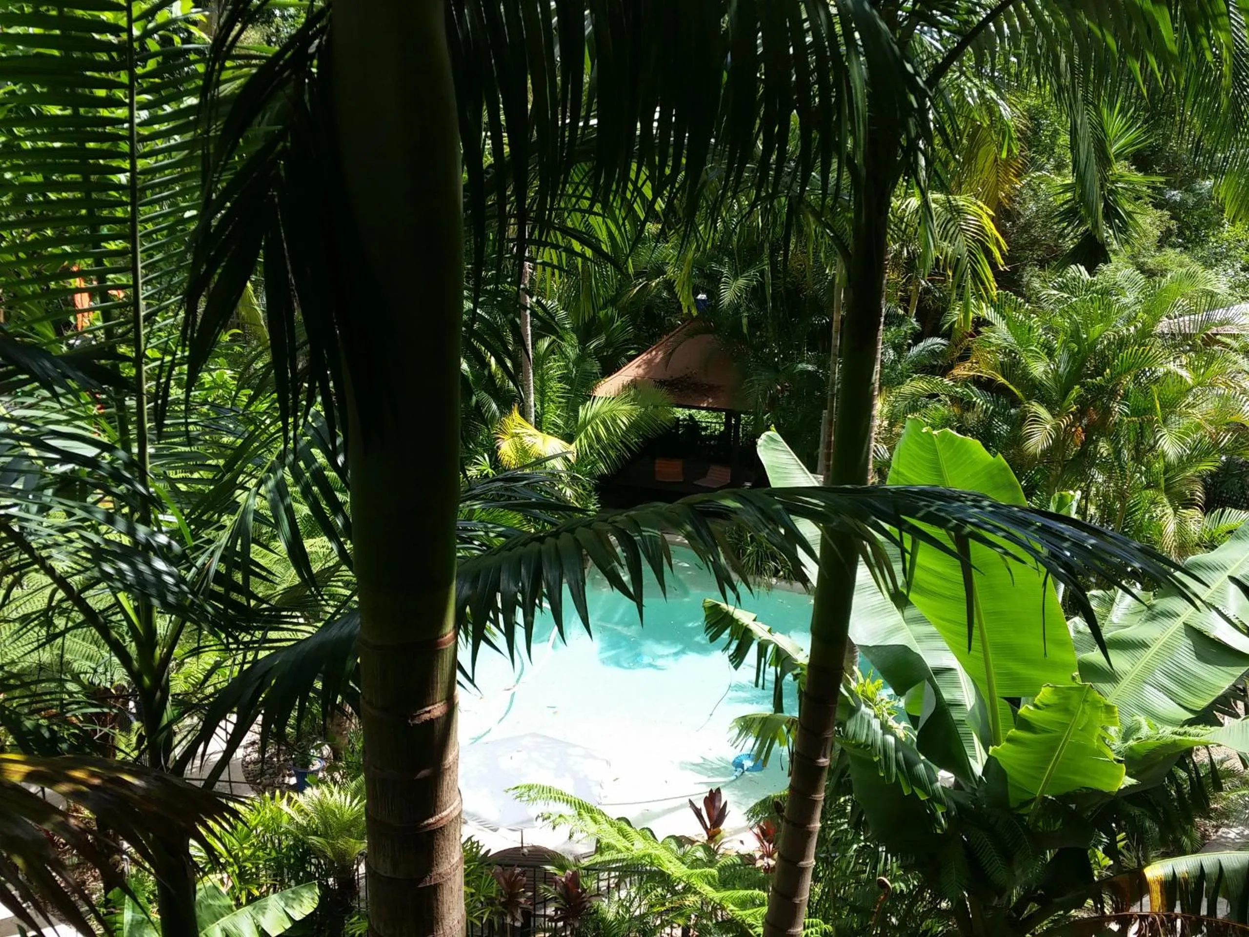 Garden view in Alaya Ascend