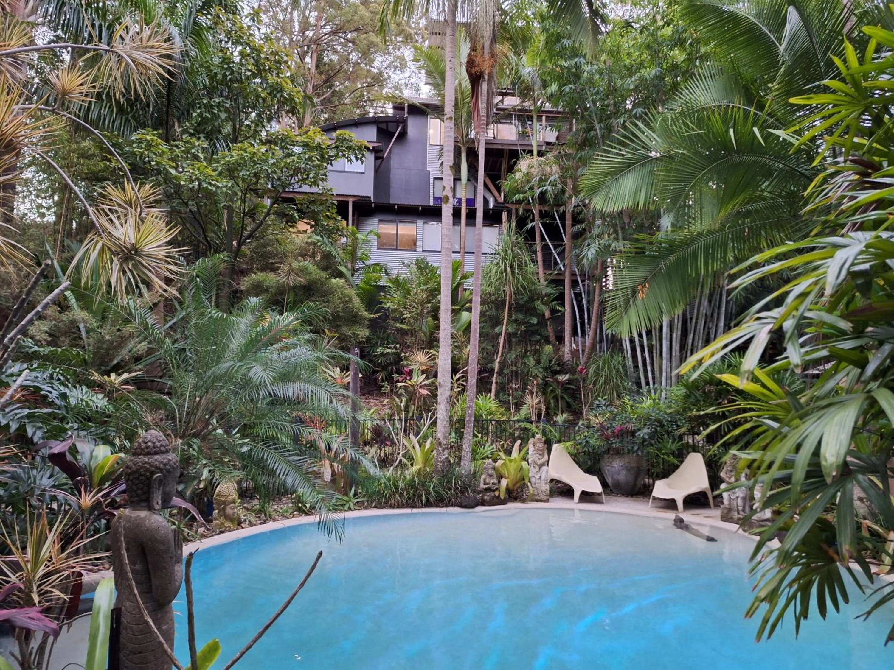 Swimming pool in Alaya Ascend