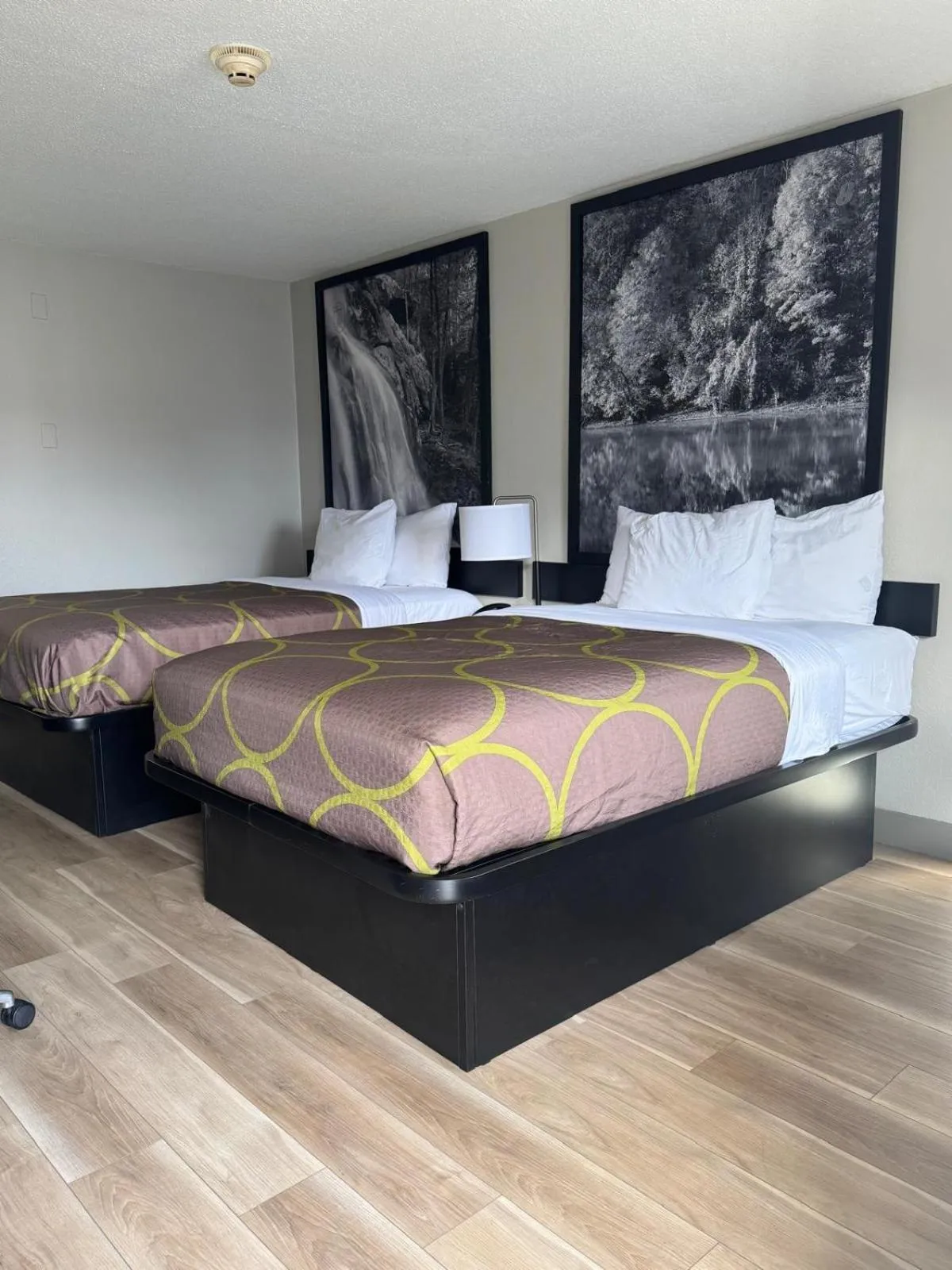 Bed in Super 8 by Wyndham Charleston WV