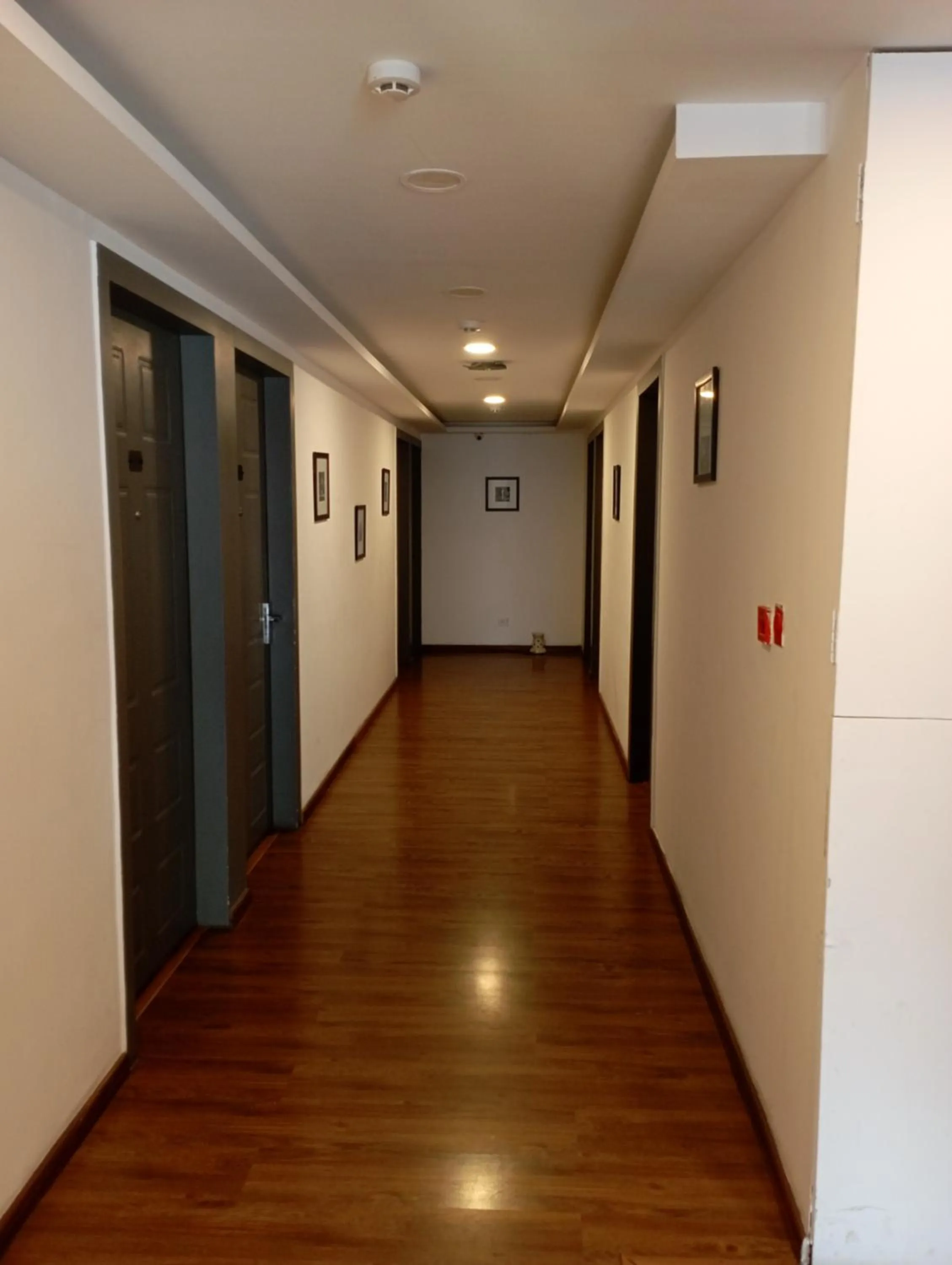 Property building in Alchemy Suites