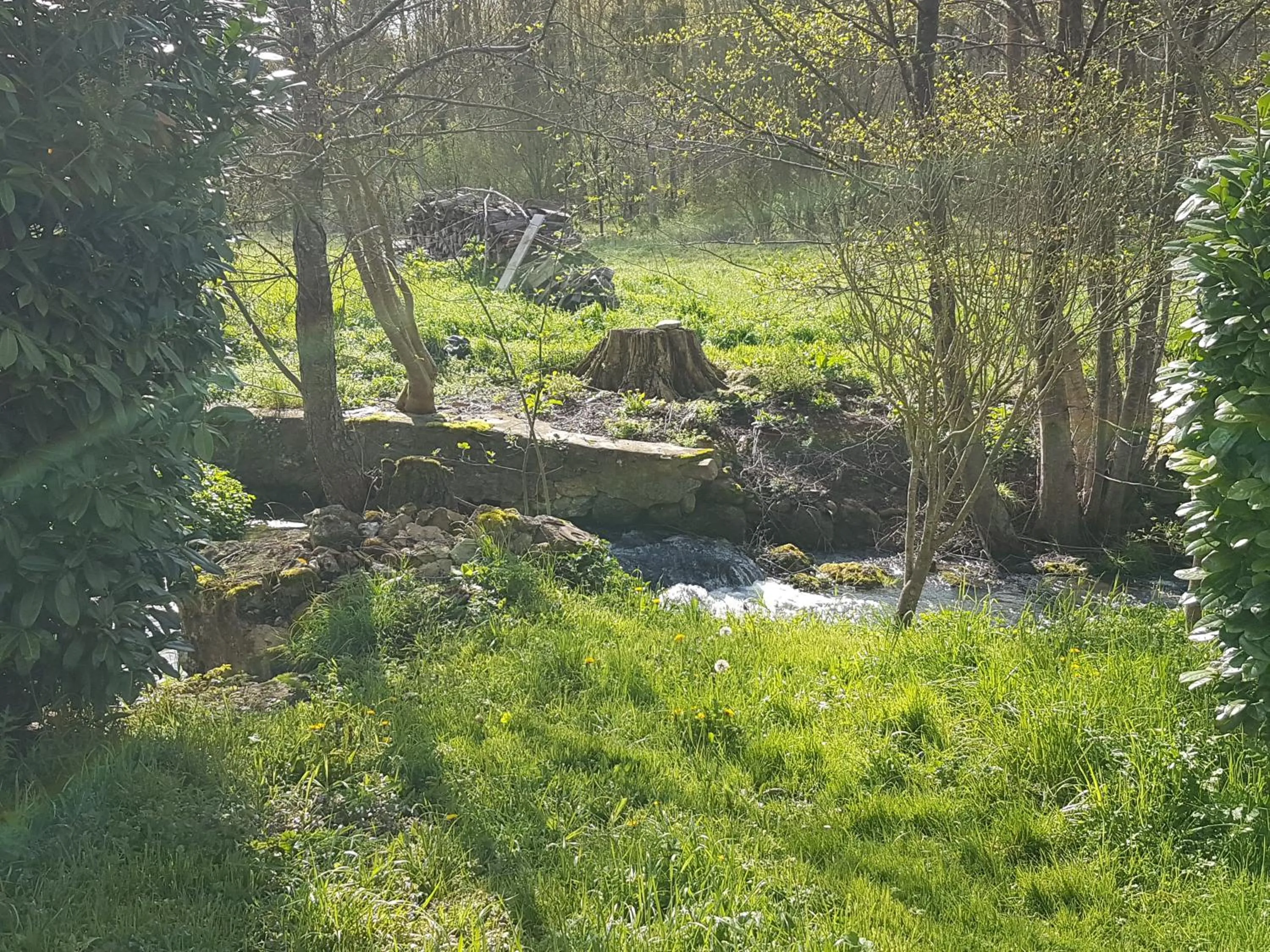 River view in Le Moulin du Châtelier