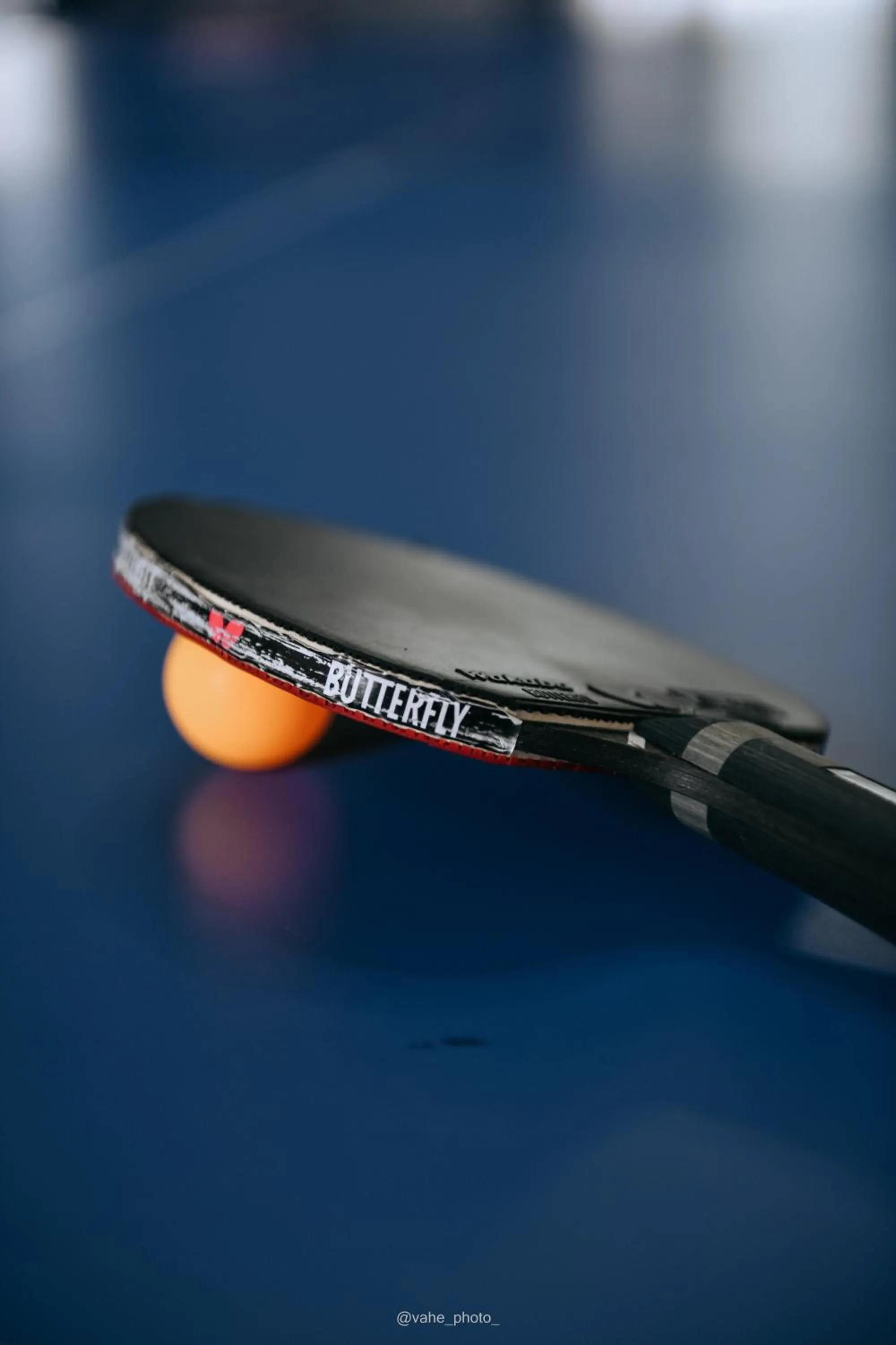 Table tennis in Forest Apartments Hotel