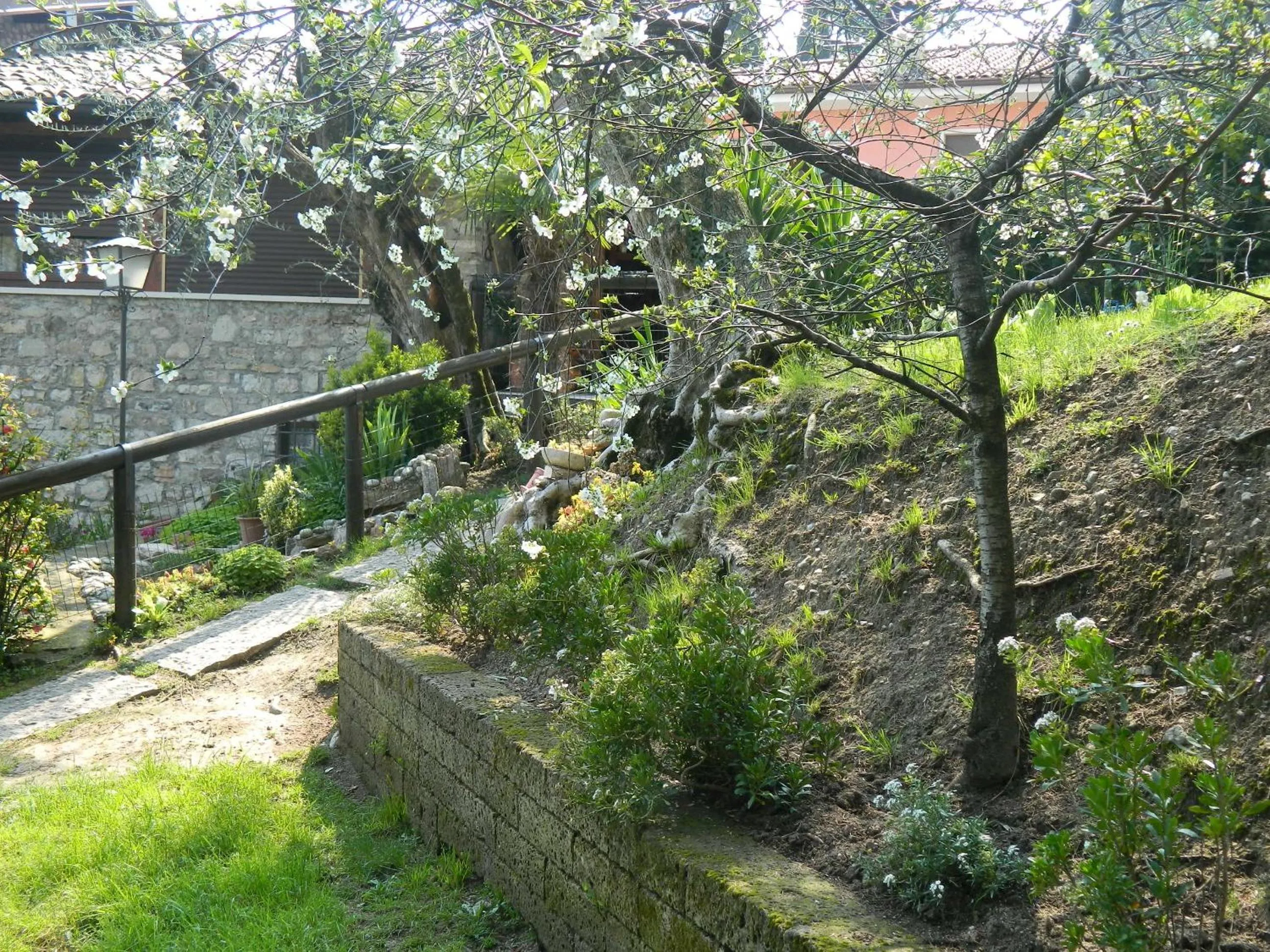 Garden in Hotel Palazzina