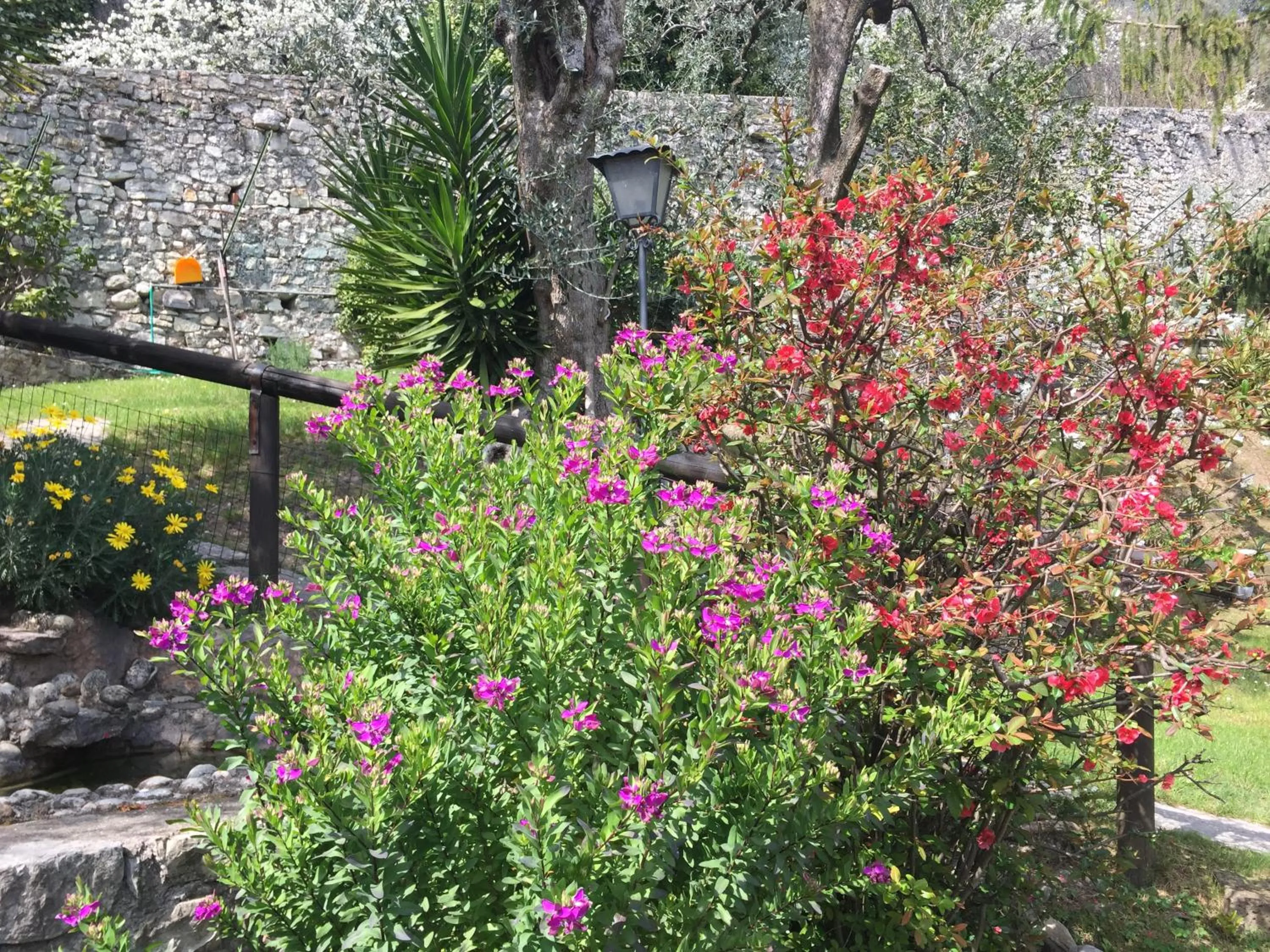 Spring in Hotel Palazzina