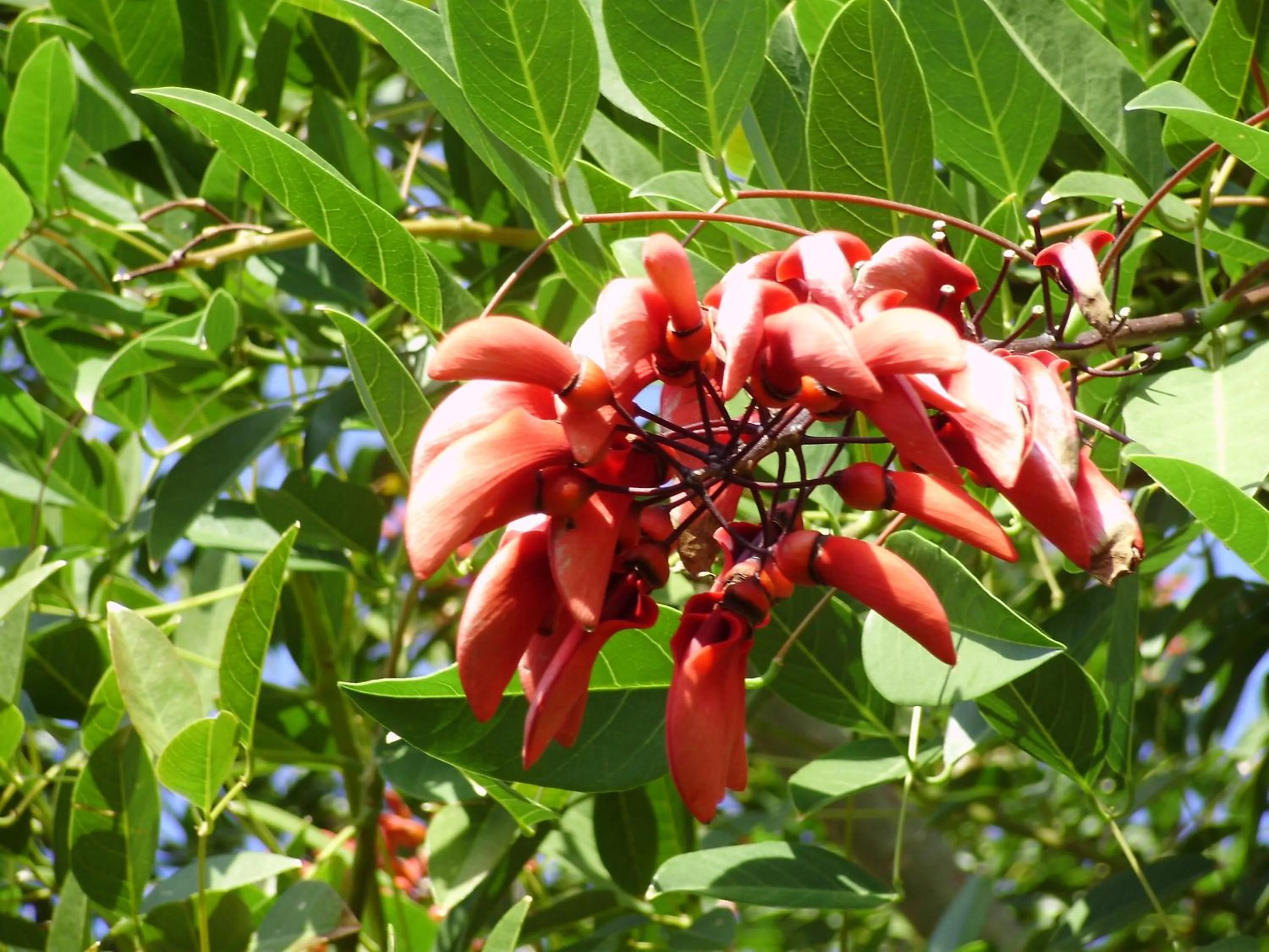Decorative detail in Cruccùris Resort - Adults Only
