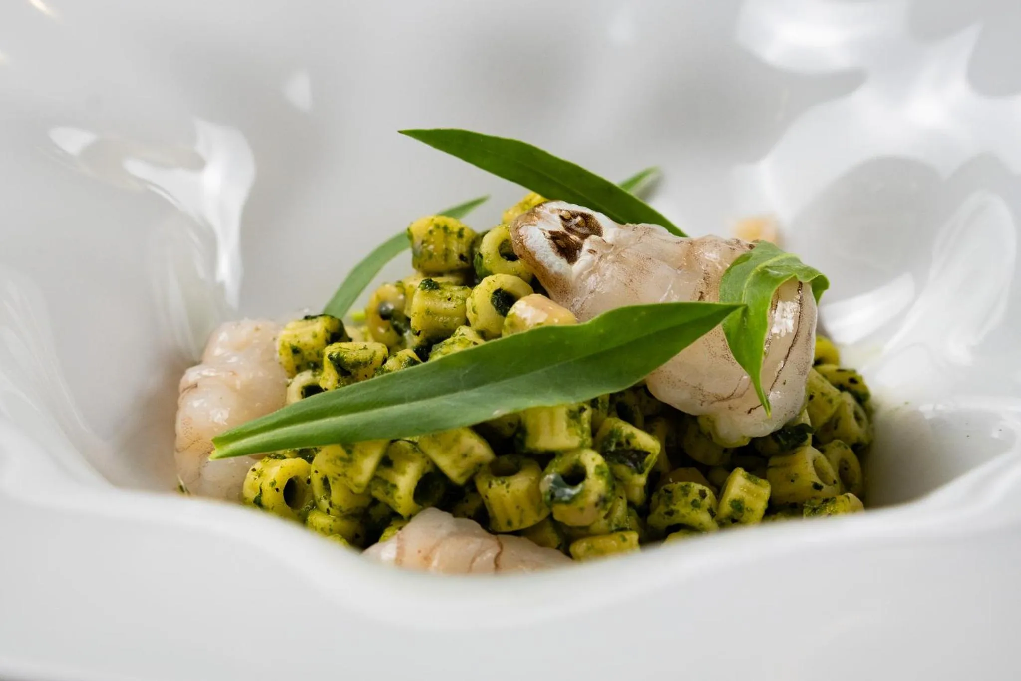 Restaurant/places to eat in Hotel Corallo