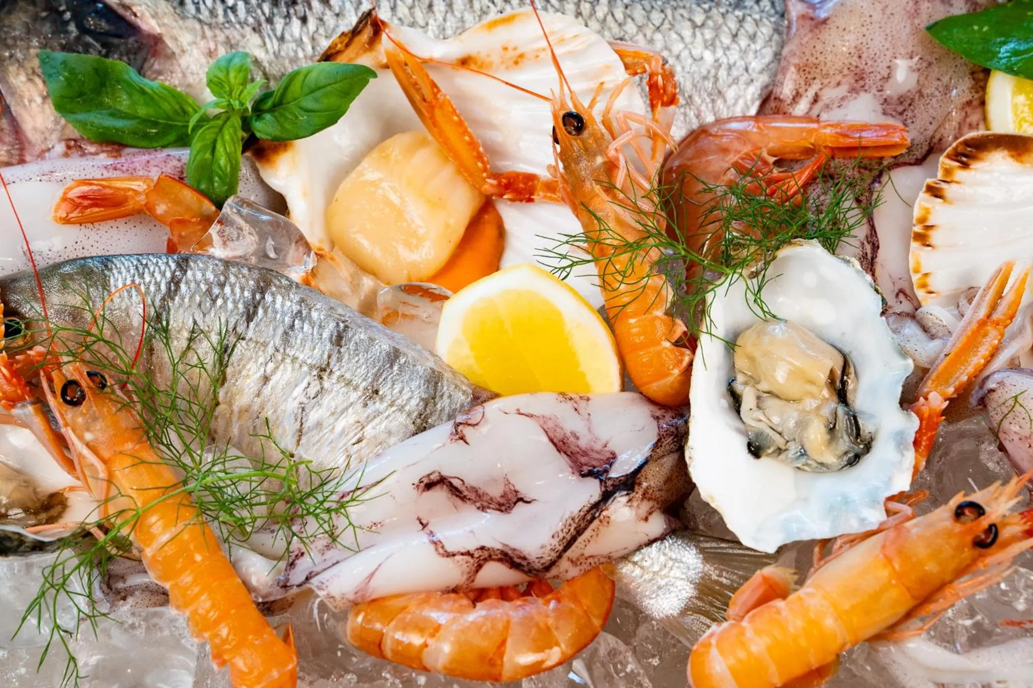 Restaurant/places to eat in Hotel Corallo