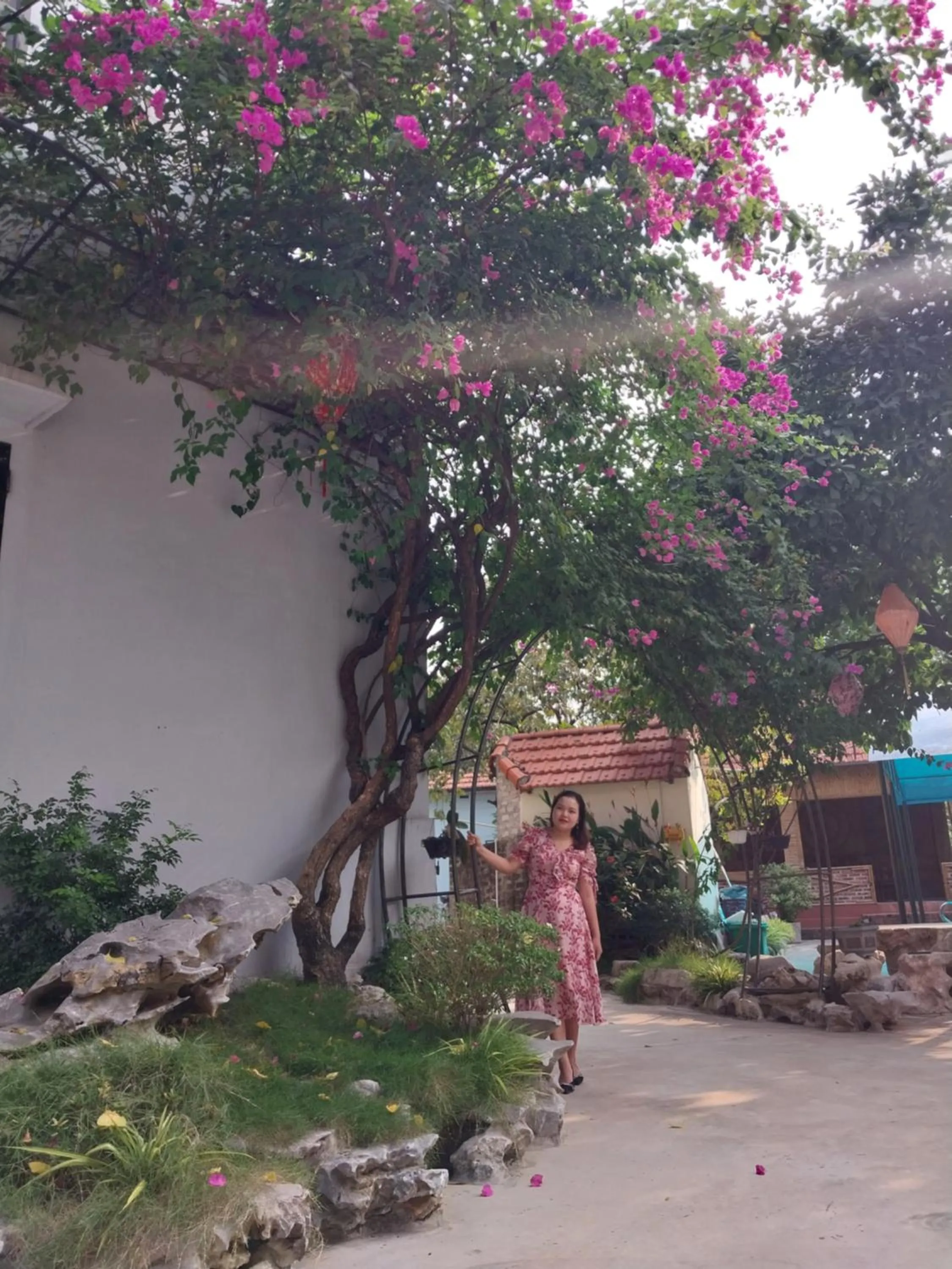 group of guests in Trang An Elegant Homestay