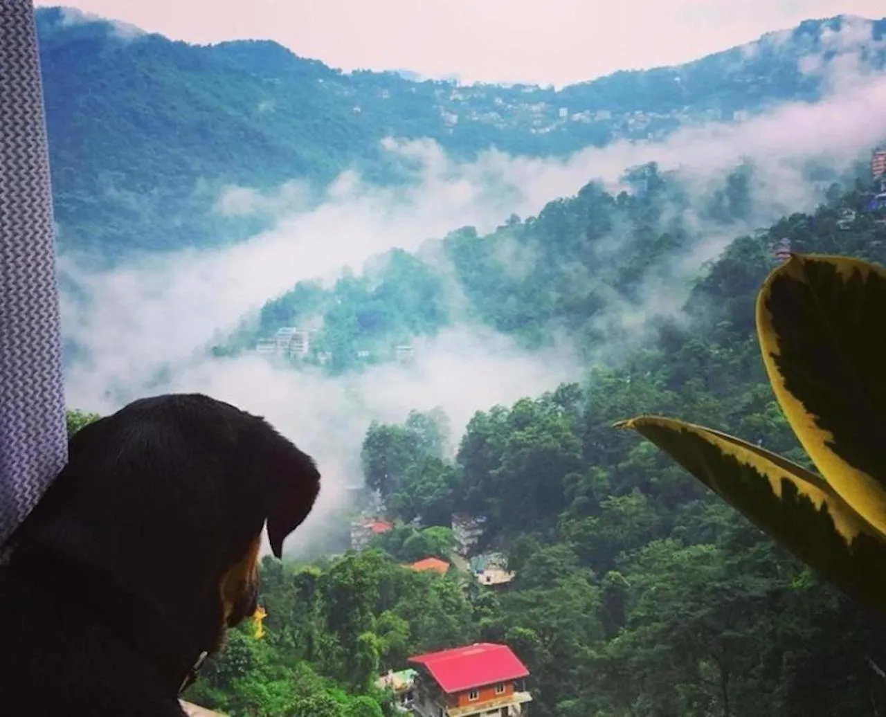 Day in House of Nomad