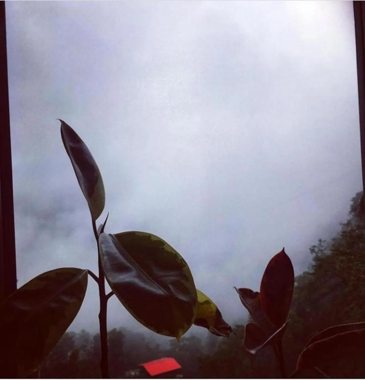 Natural landscape in House of Nomad