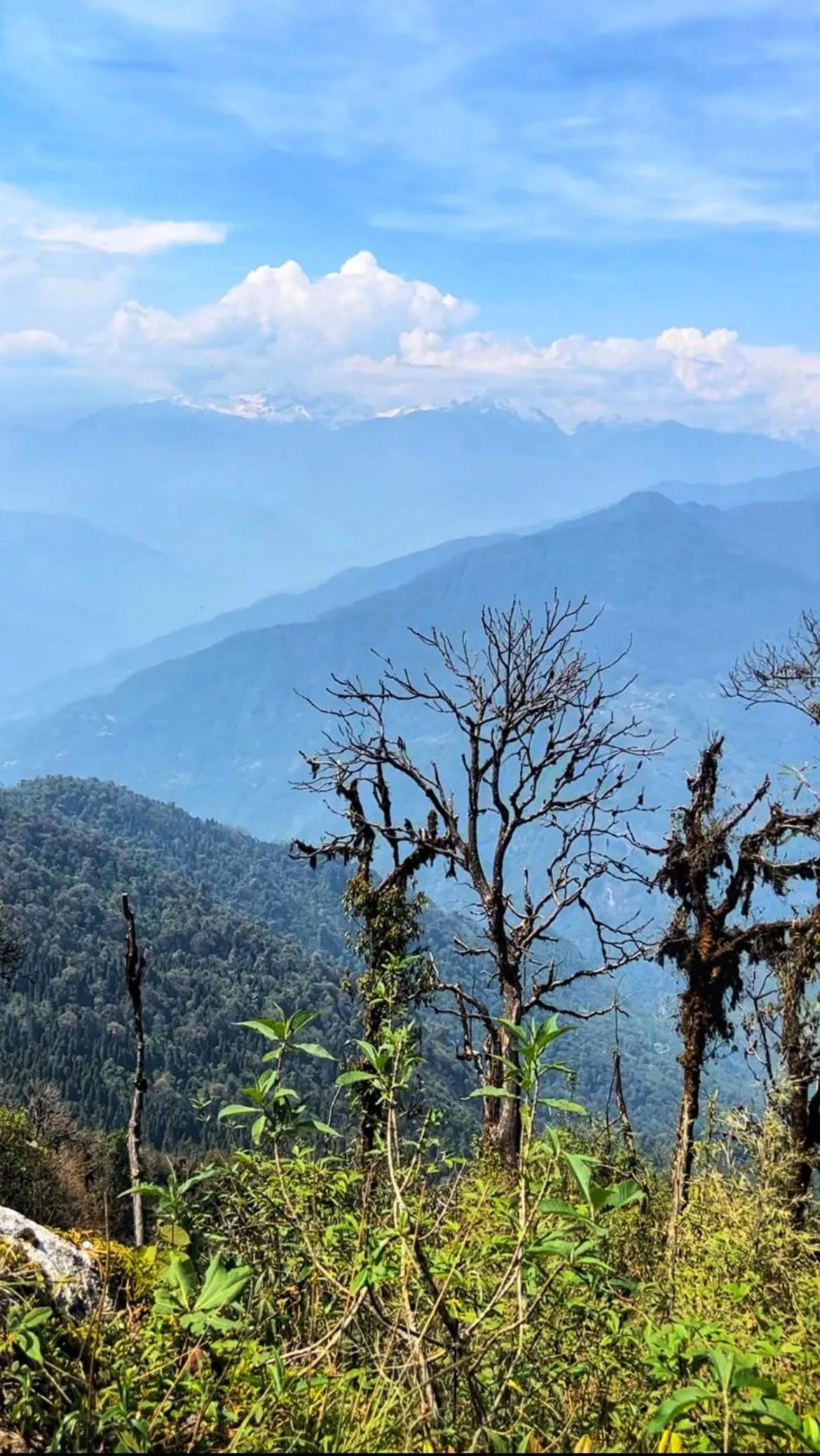 Nearby landmark in House of Nomad