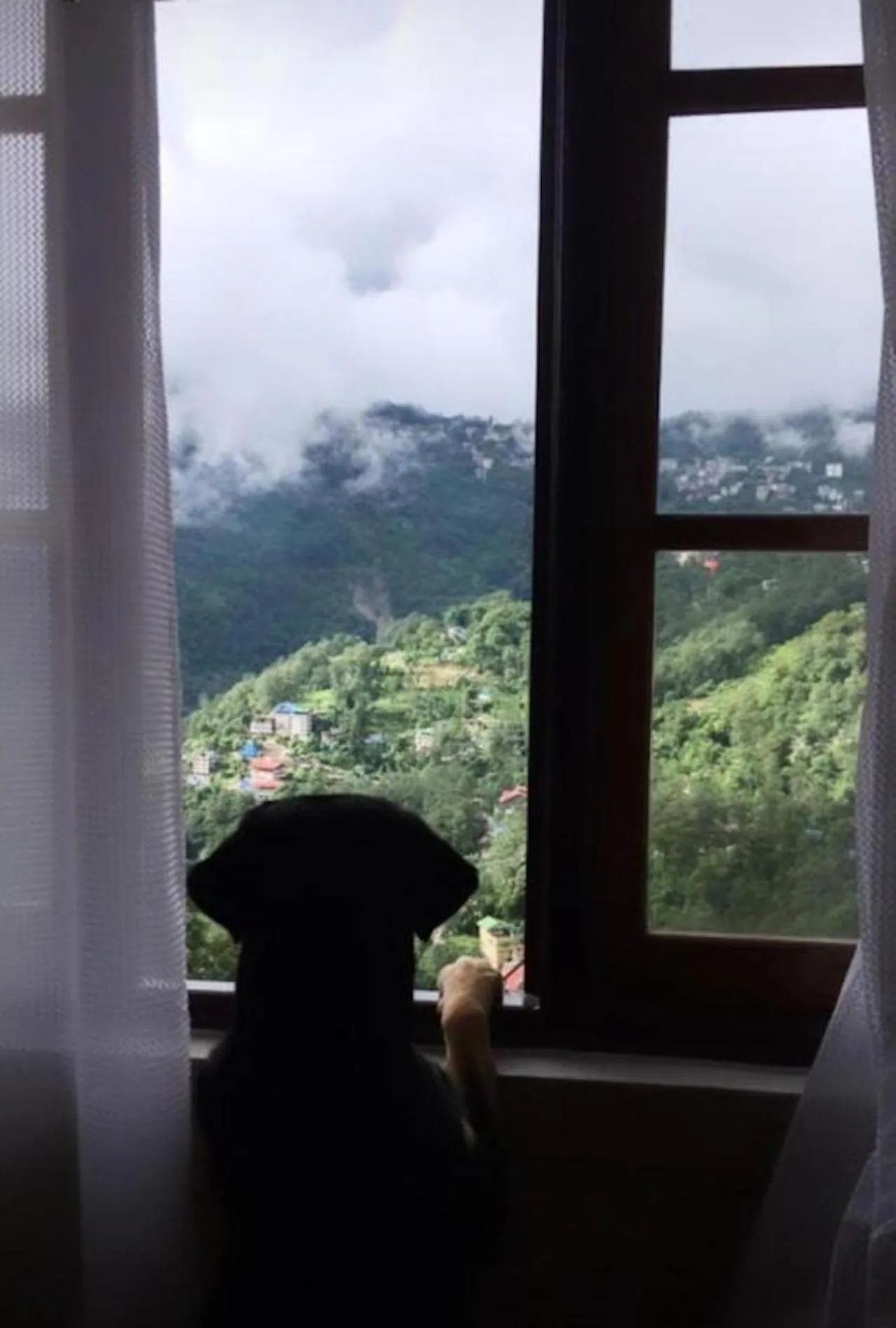 Natural landscape in House of Nomad