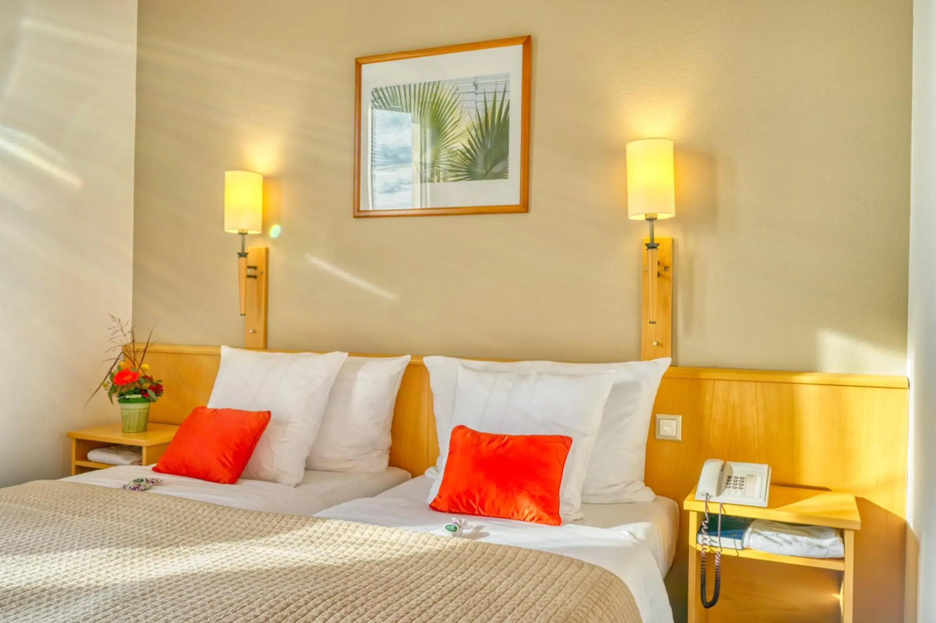 Standard Double or Twin Room with Lake View in Hôtel Bon Rivage Standard Double or Twin Room with Lake View in Hôtel Bon Rivage