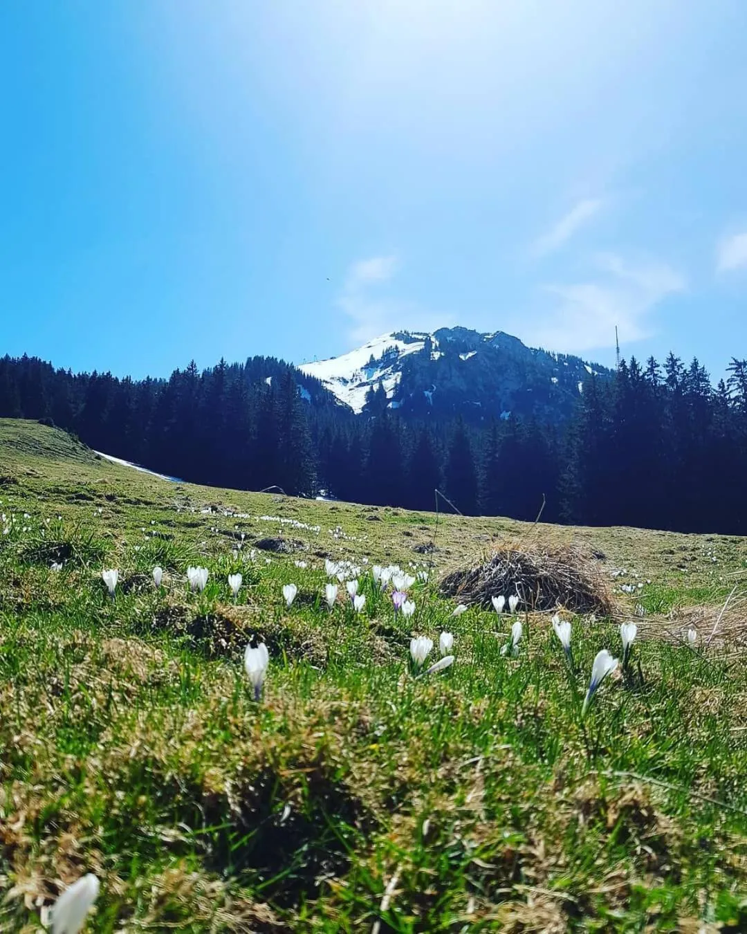 Mountain view in JÄGERWINKL 2