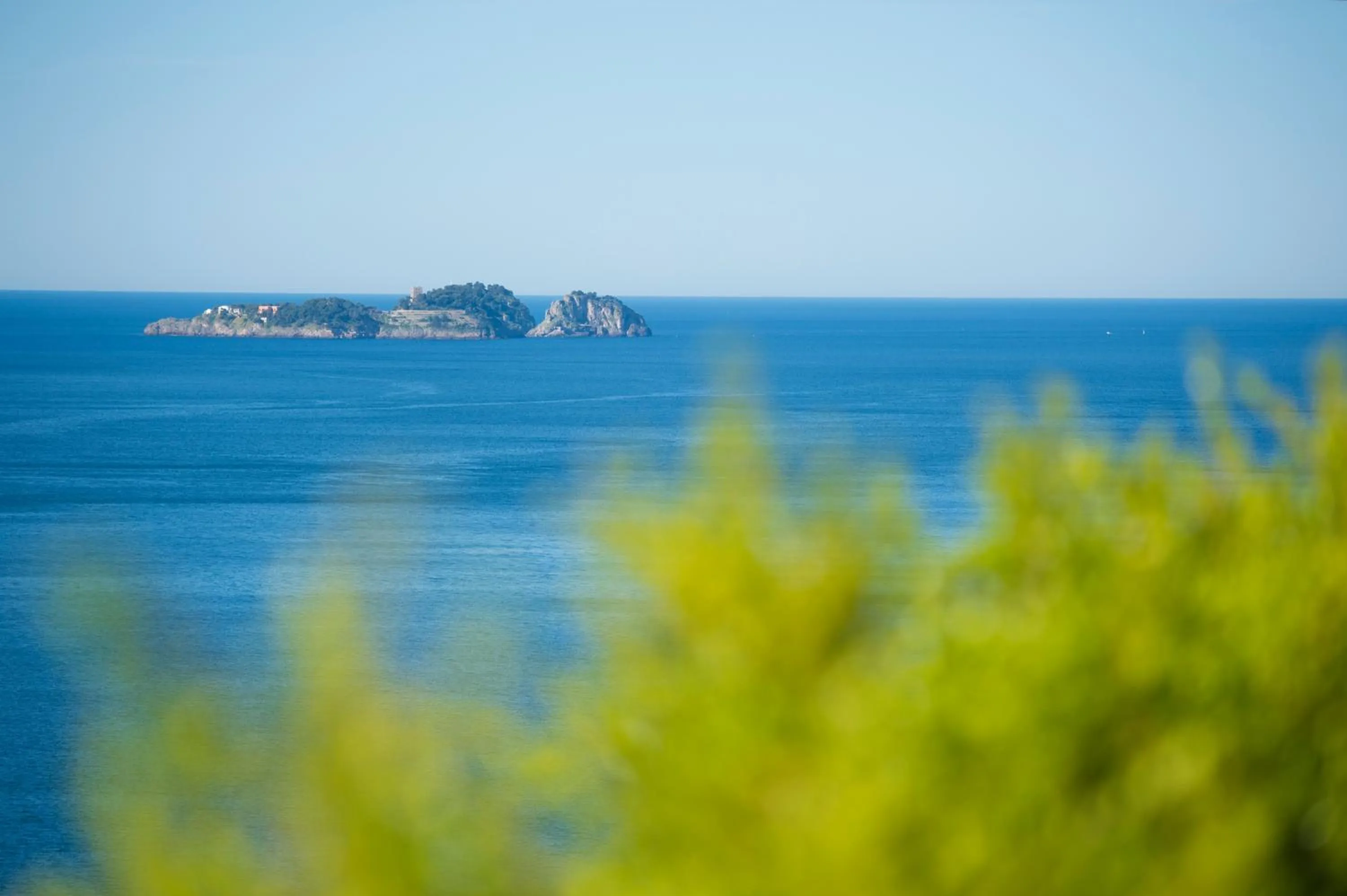 Natural landscape in Palazzo Talamo
