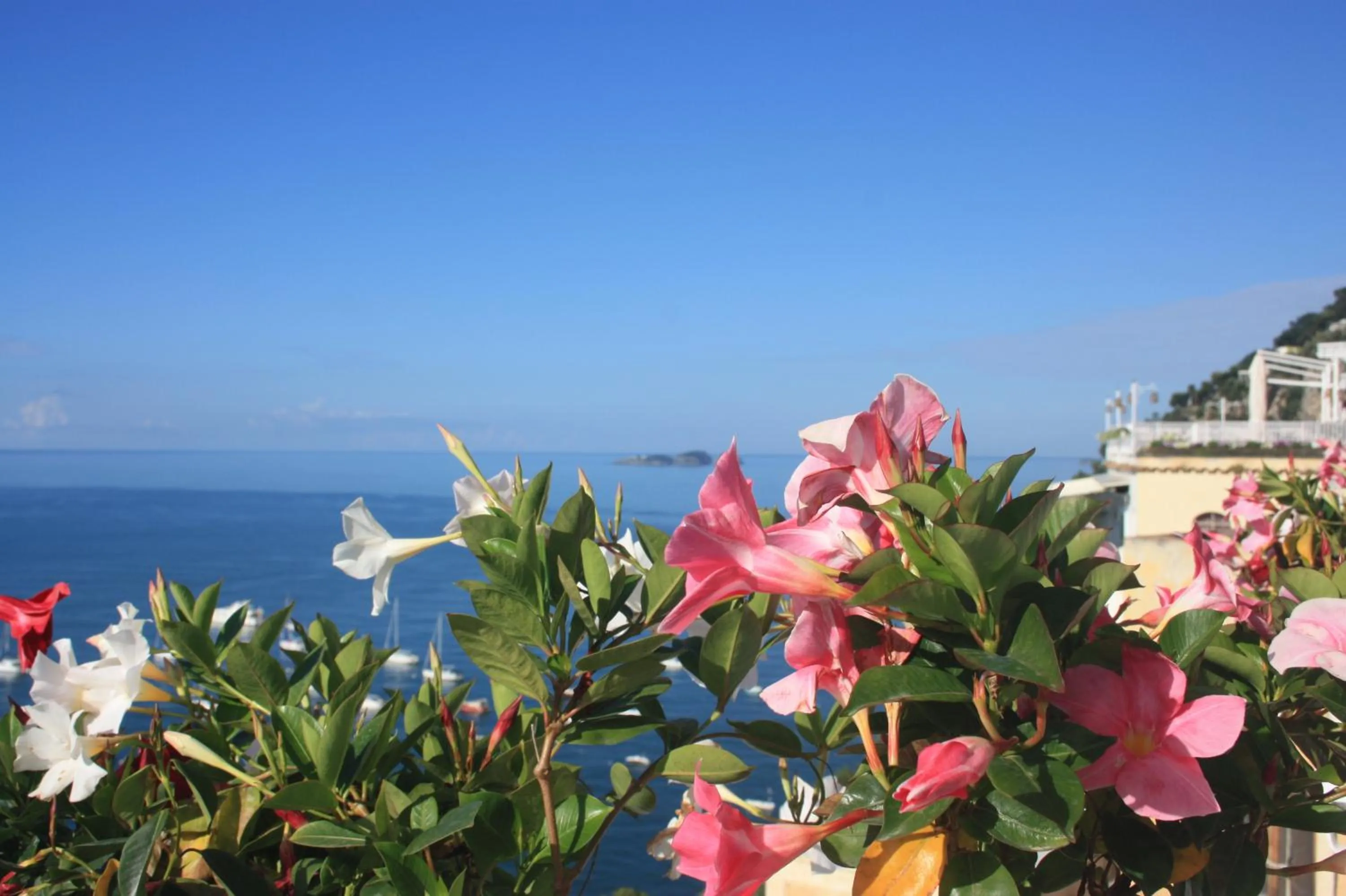 Lounge or bar in Palazzo Talamo