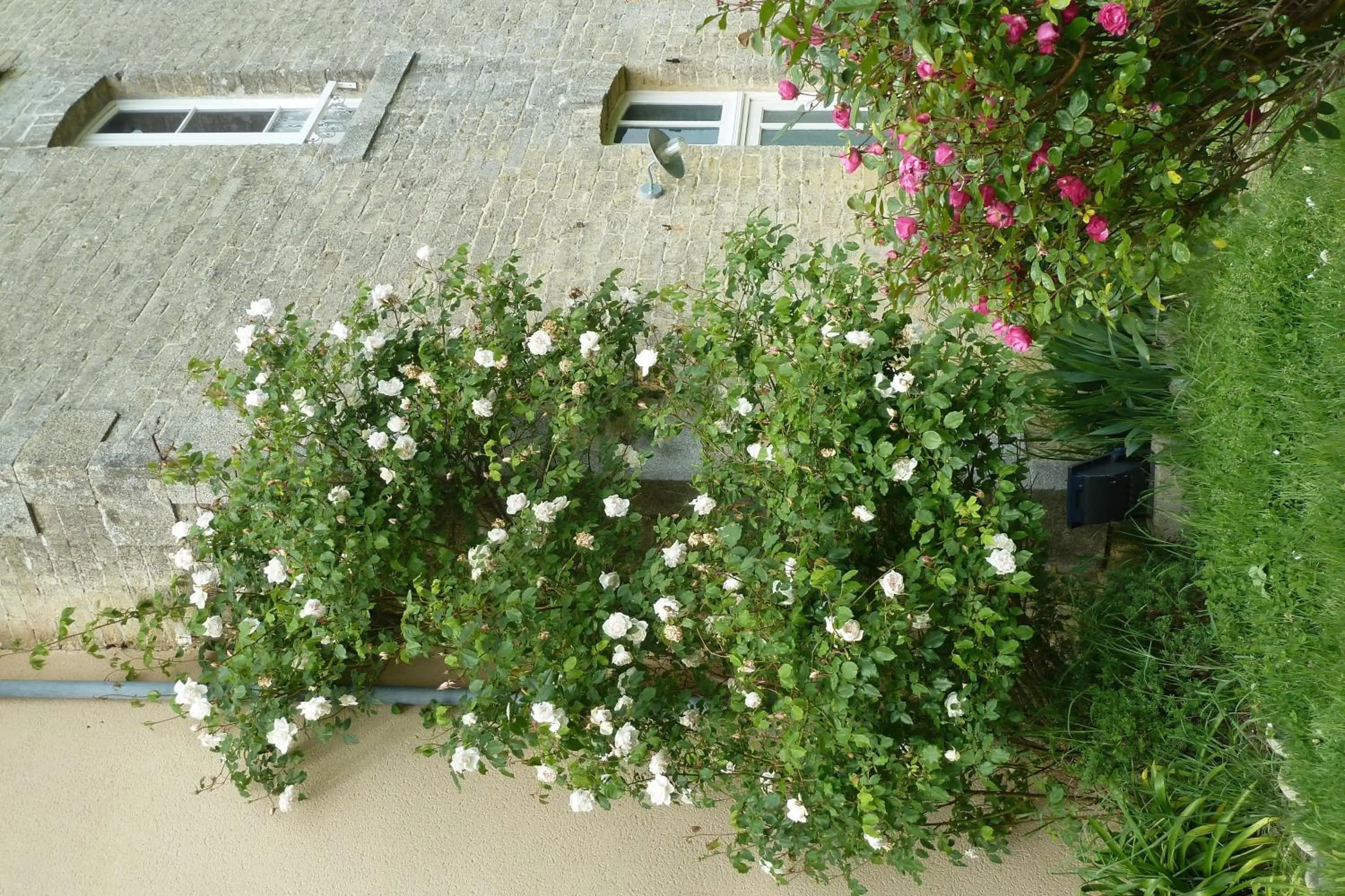 Facade/entrance in B&B L'Atelier du Presbytère