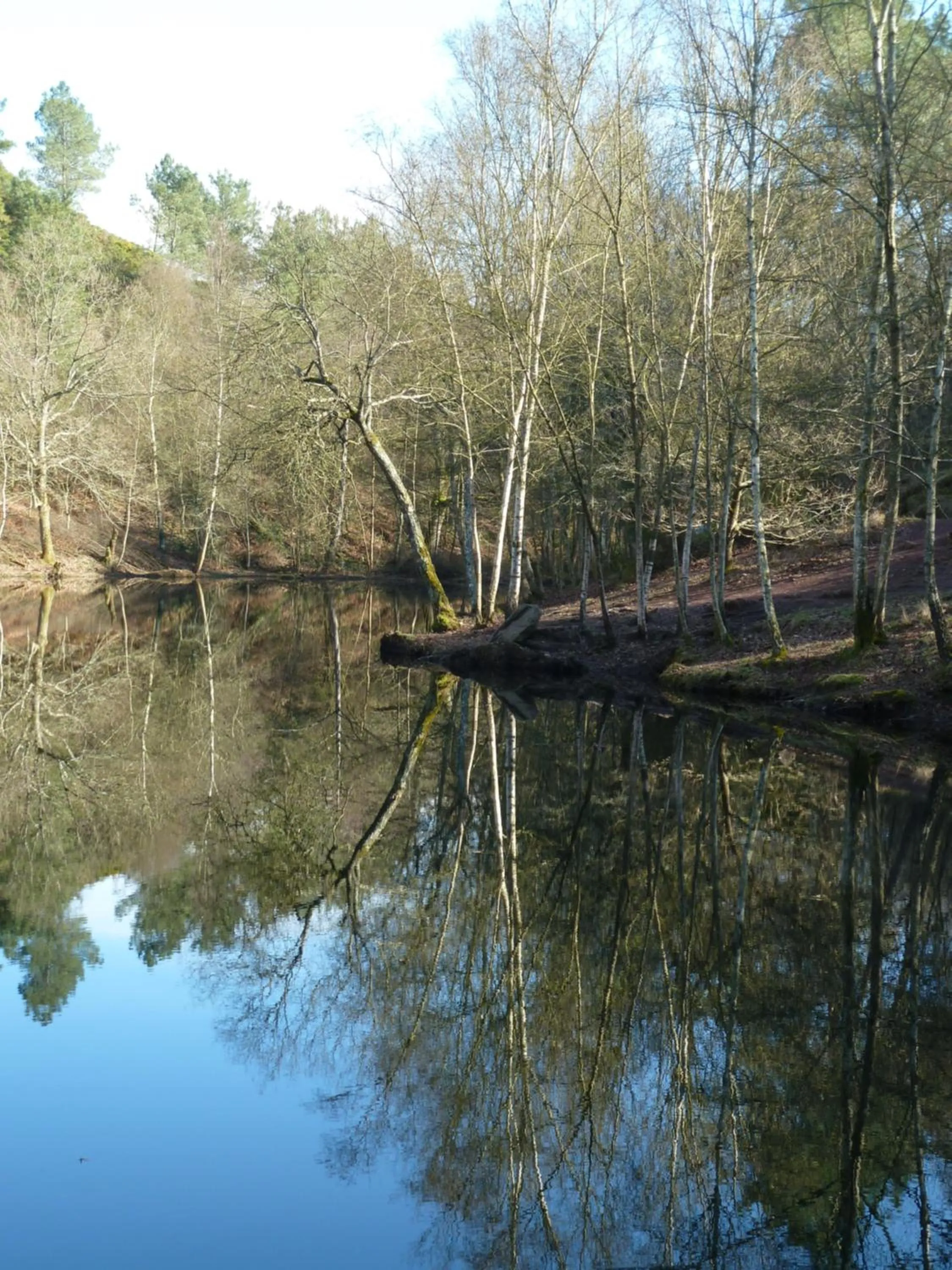 Nearby landmark in B&B L'Atelier du Presbytère