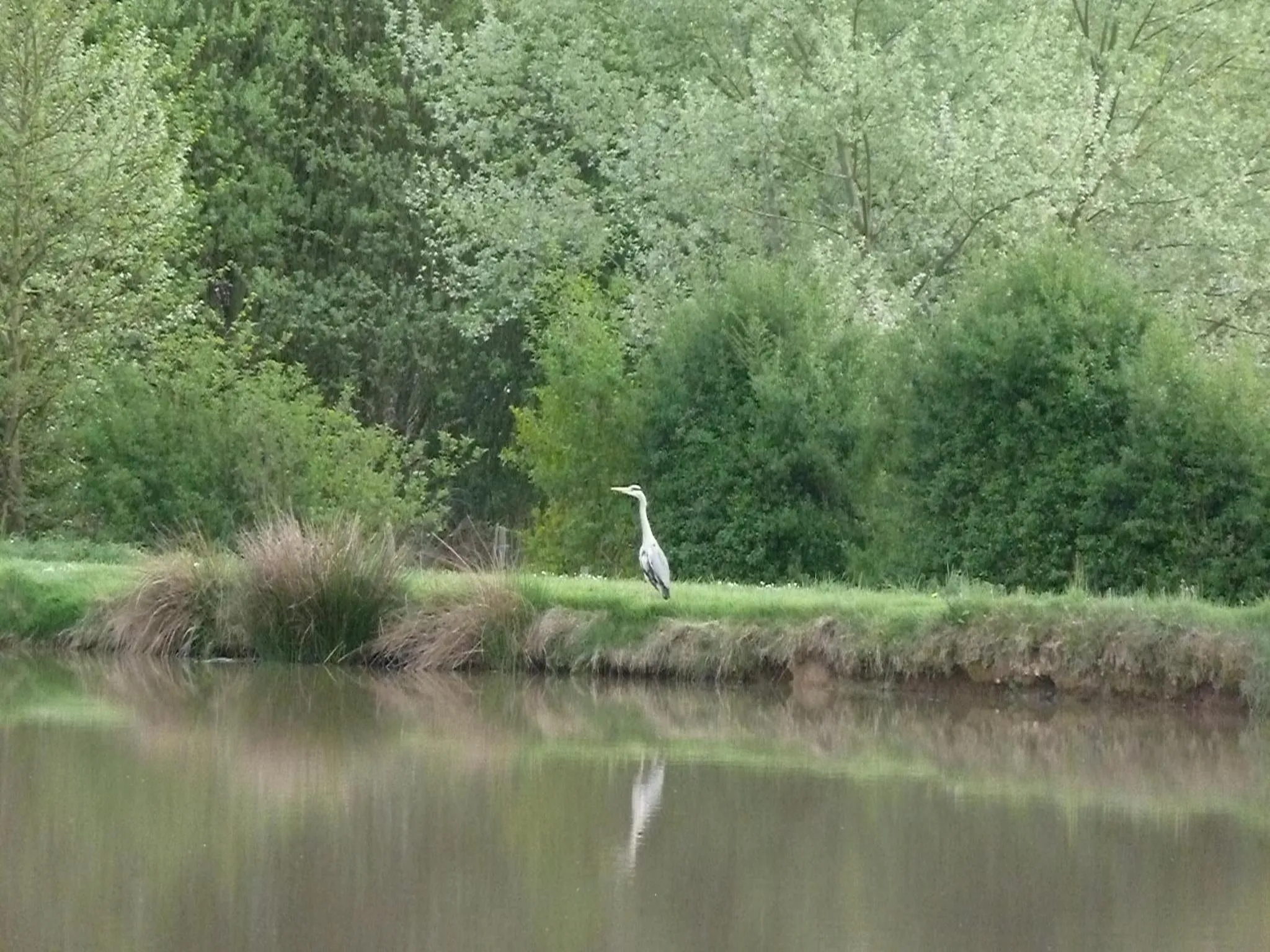 Lake view in B&B L'Atelier du Presbytère
