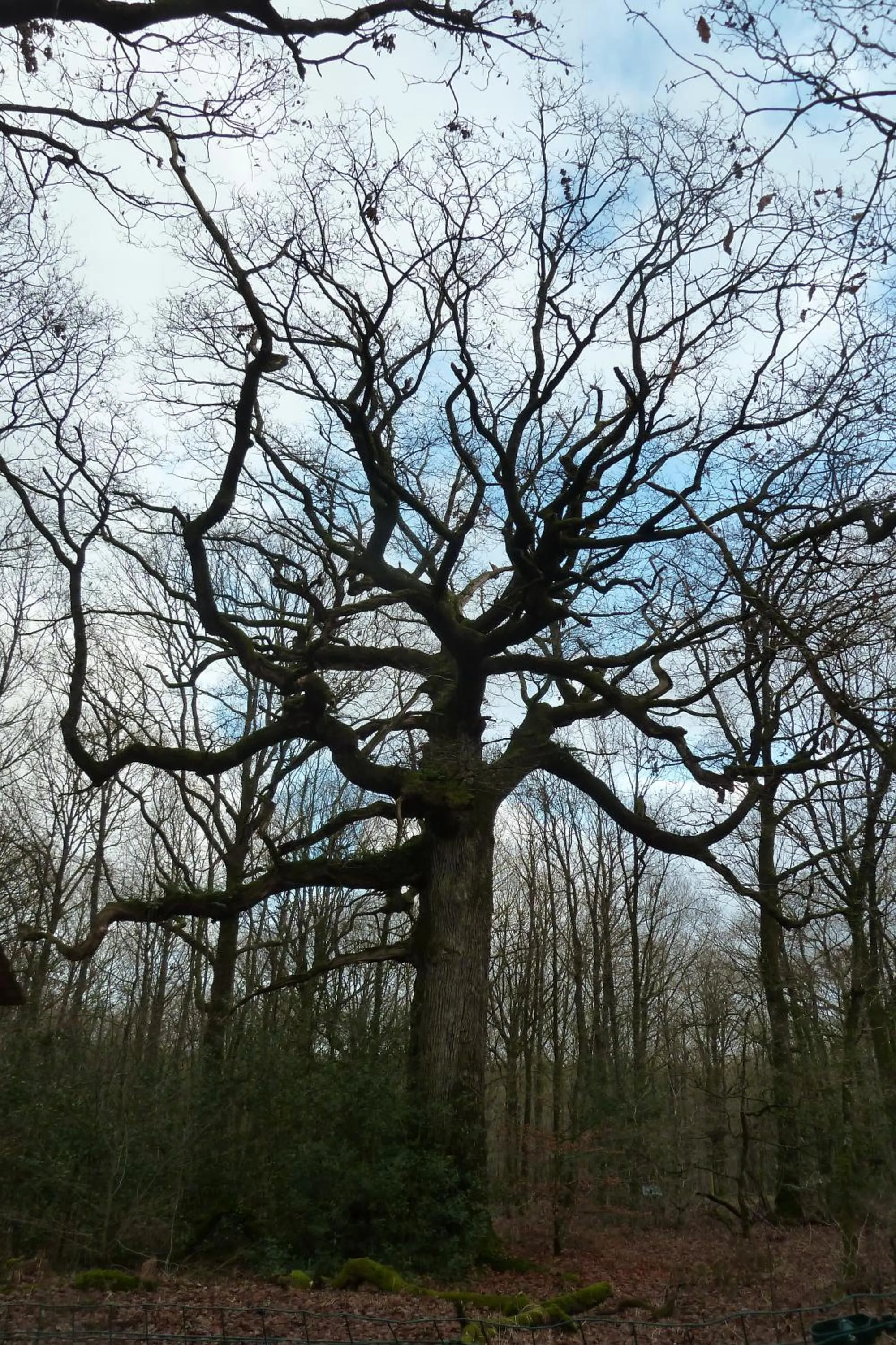 Natural landscape in B&B L'Atelier du Presbytère