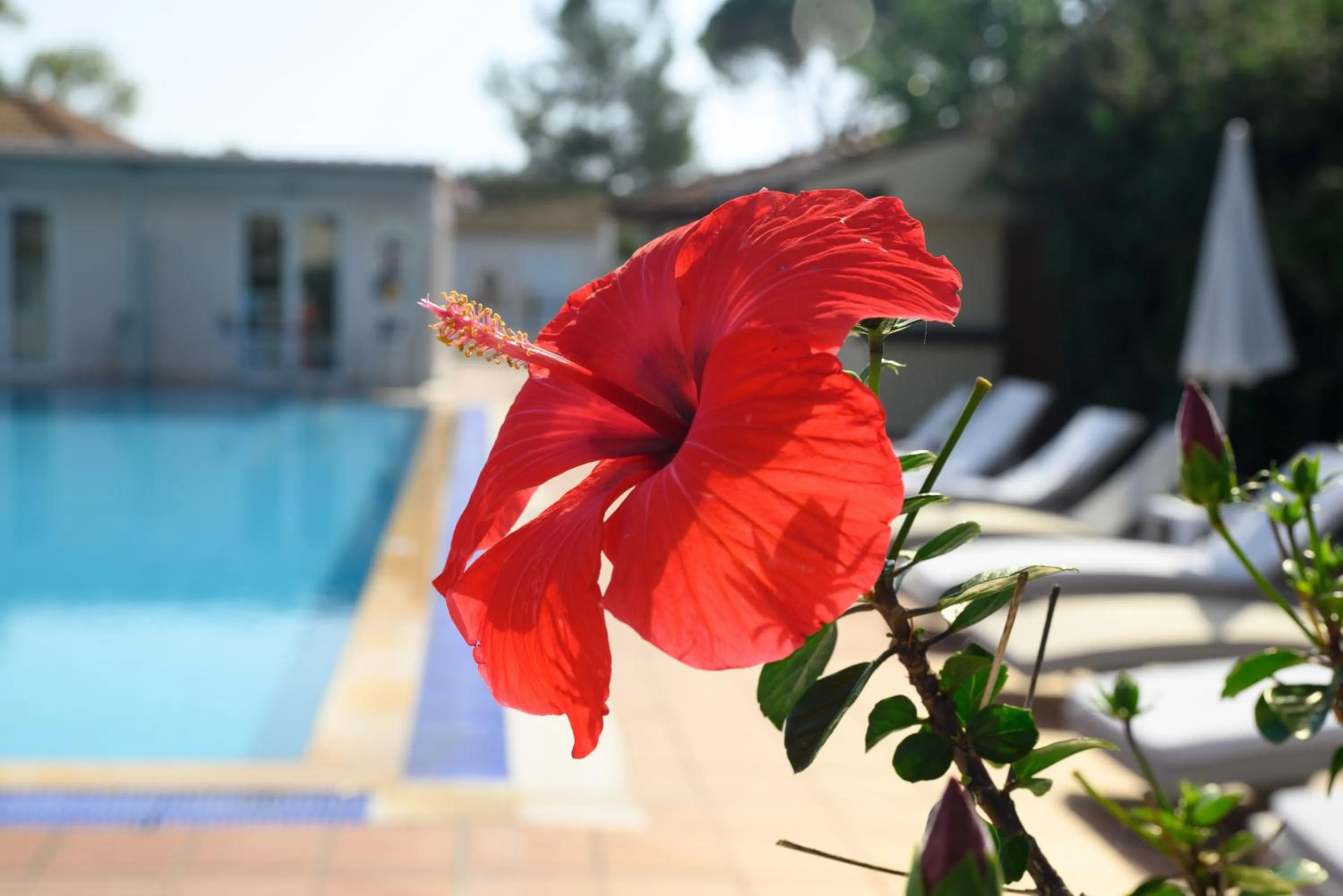 Spring in Cavomarina Beach- Adults Only