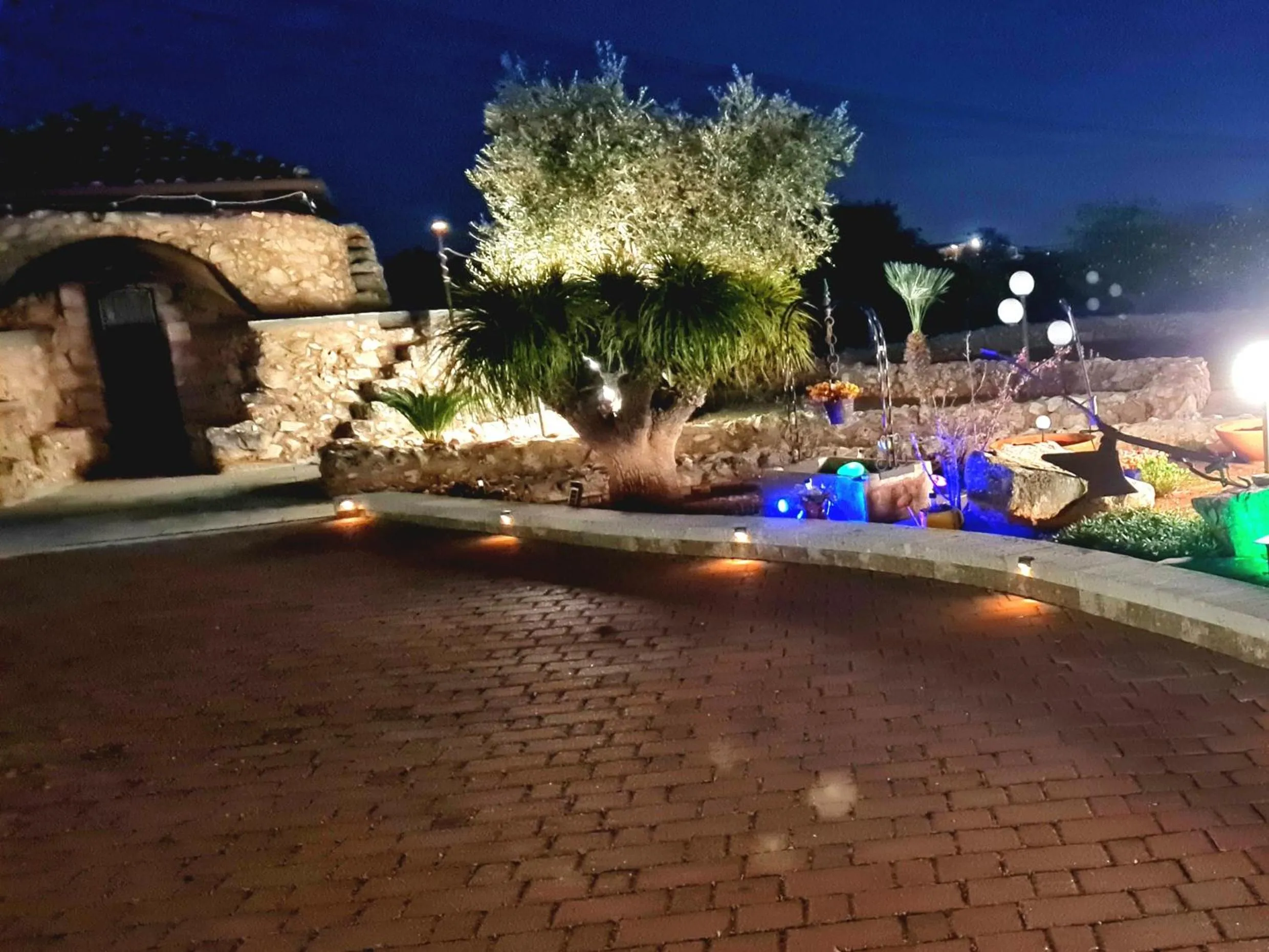 Garden in Hotel Villa Elisabetta