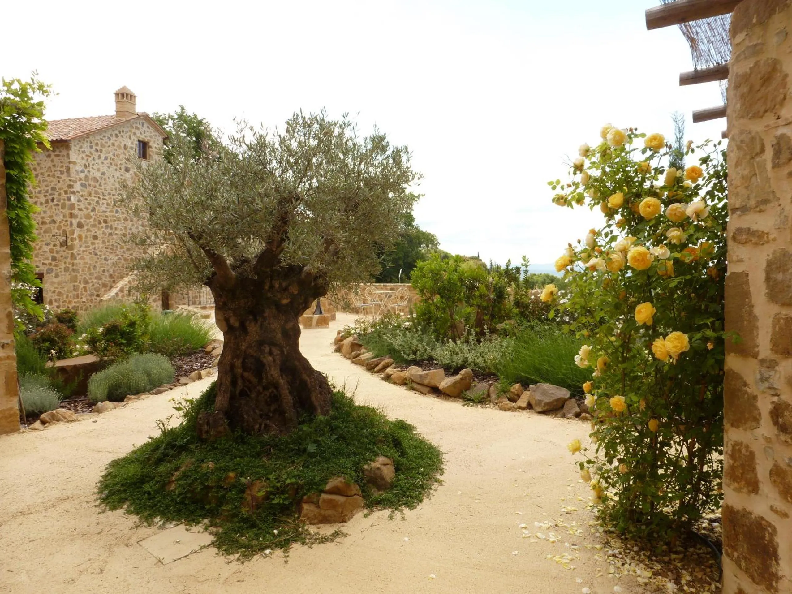 Garden in Castel Brunello