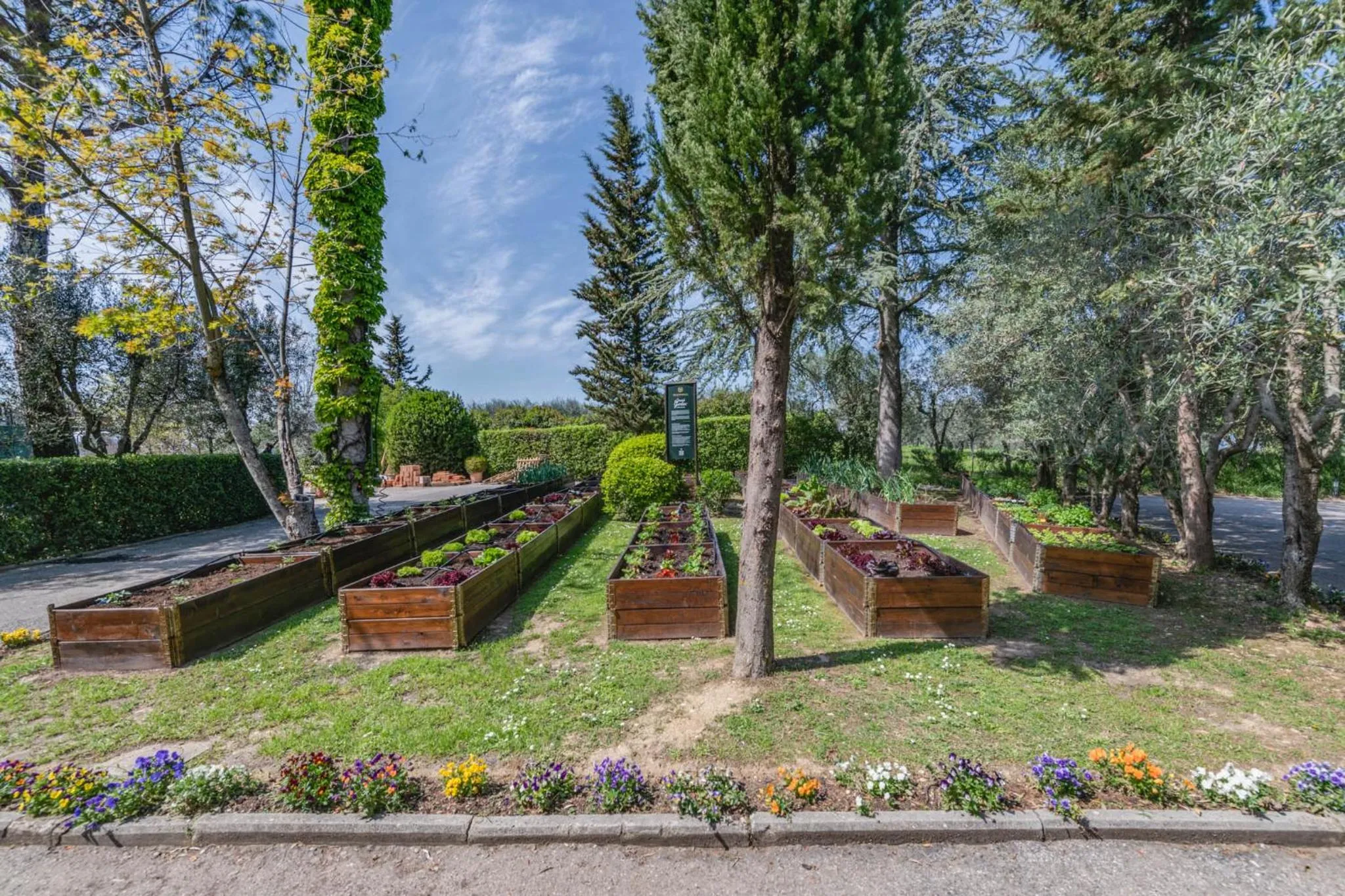 Restaurant/places to eat in Villa I Barronci Resort & Spa