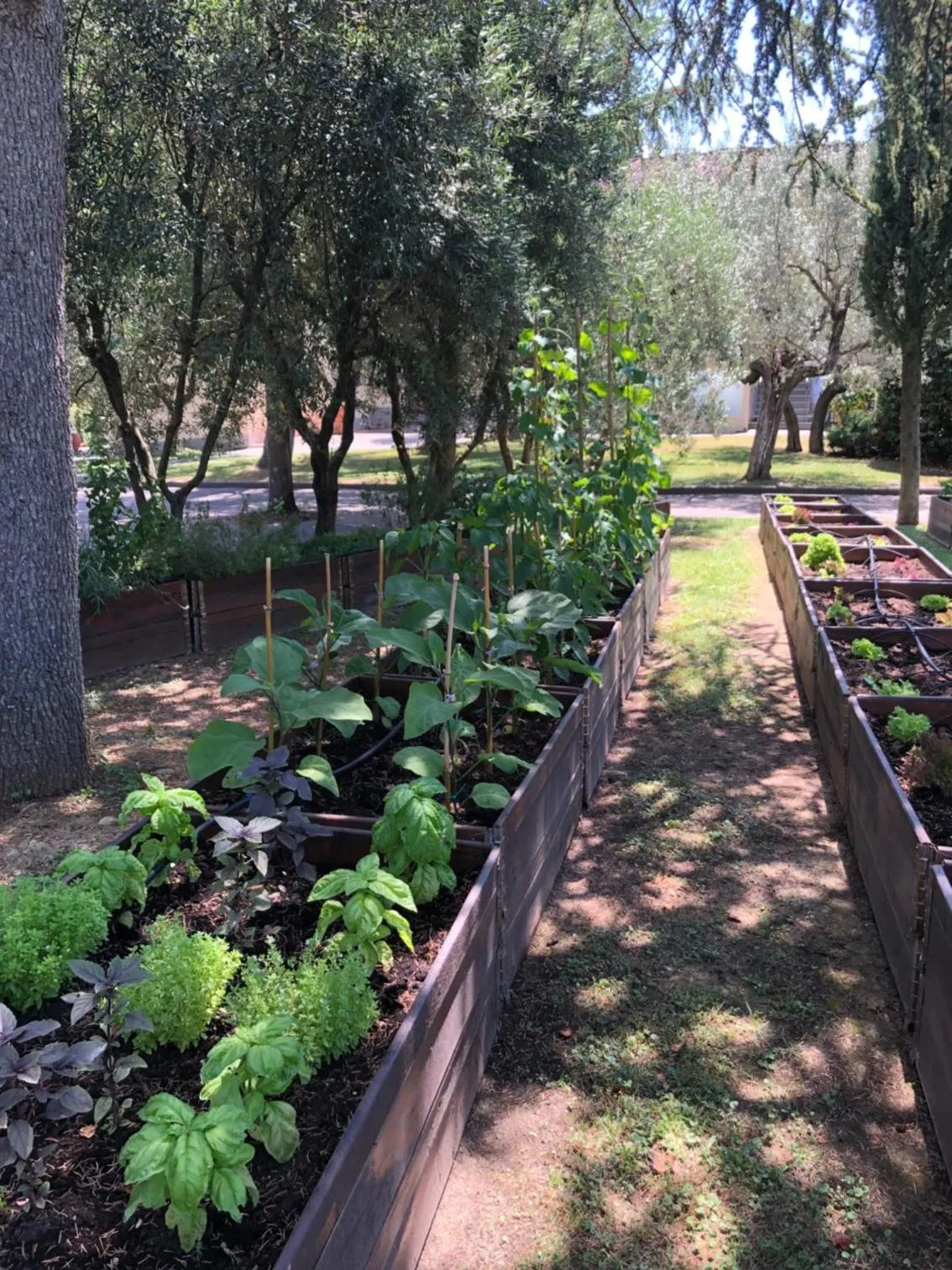 Restaurant/places to eat in Villa I Barronci Resort & Spa