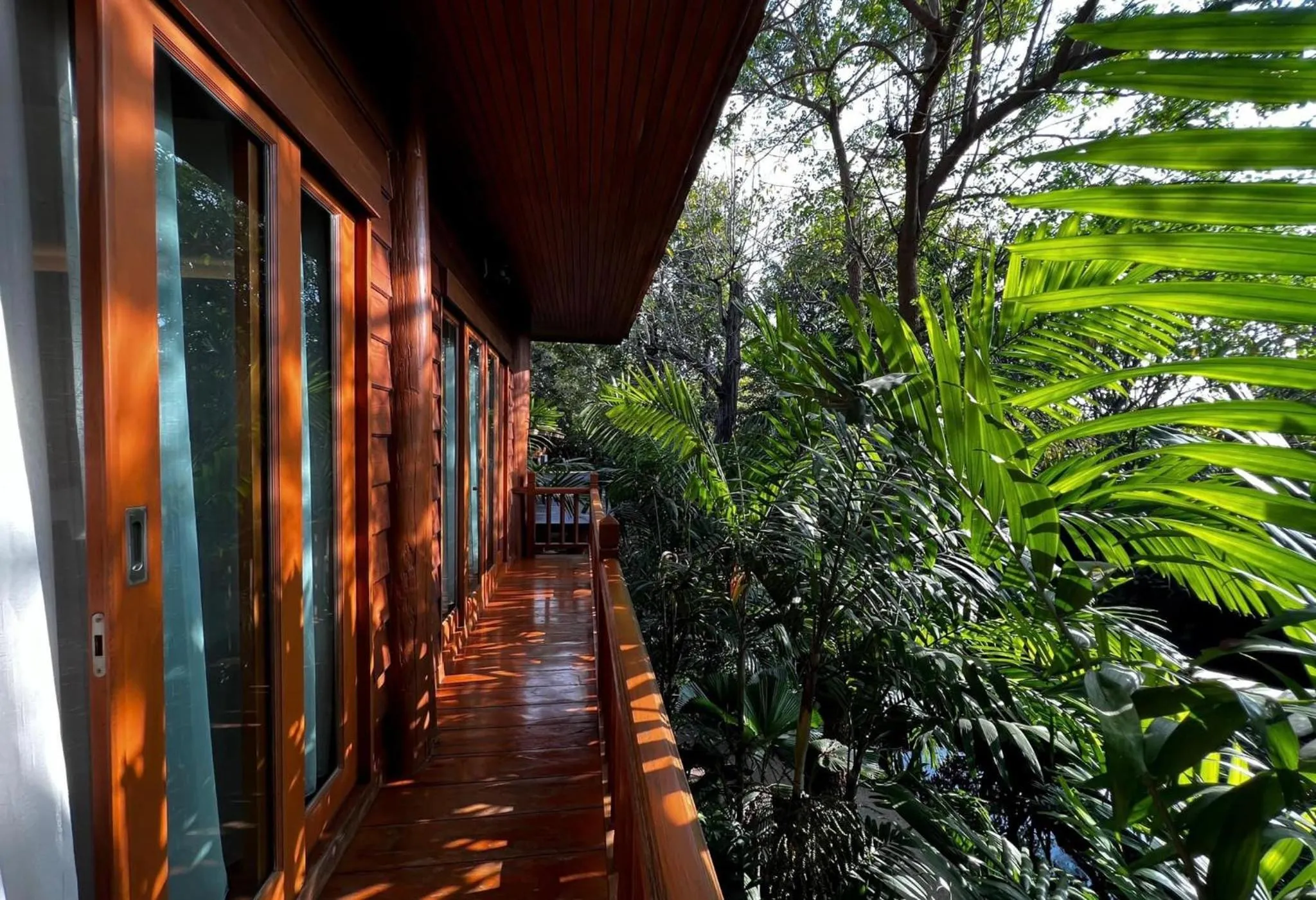 Garden view in Vanasin Residence