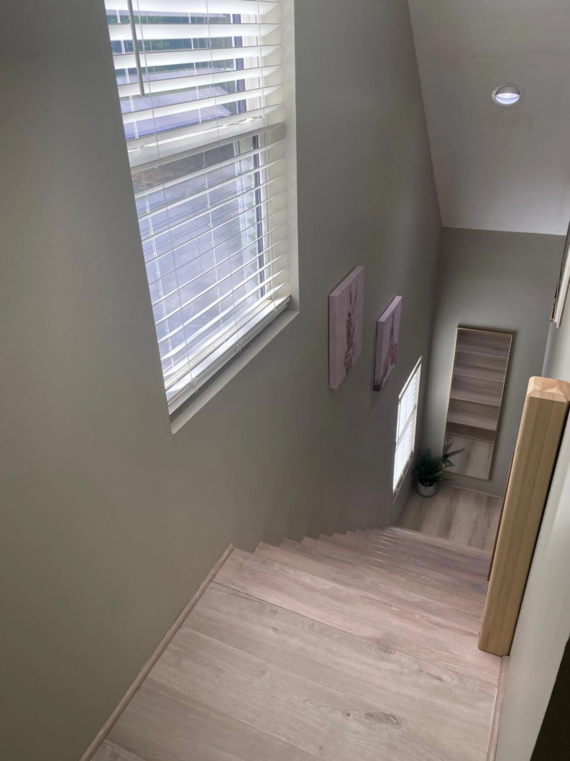 Property building in Modern Home &Cozy