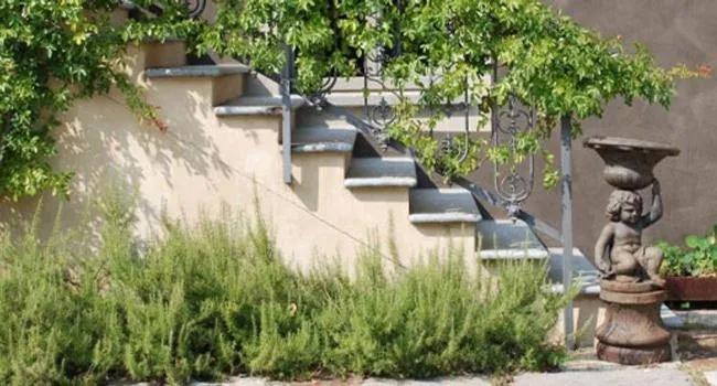Facade/entrance in Albergo l'Ostelliere - Villa Sparina Resort