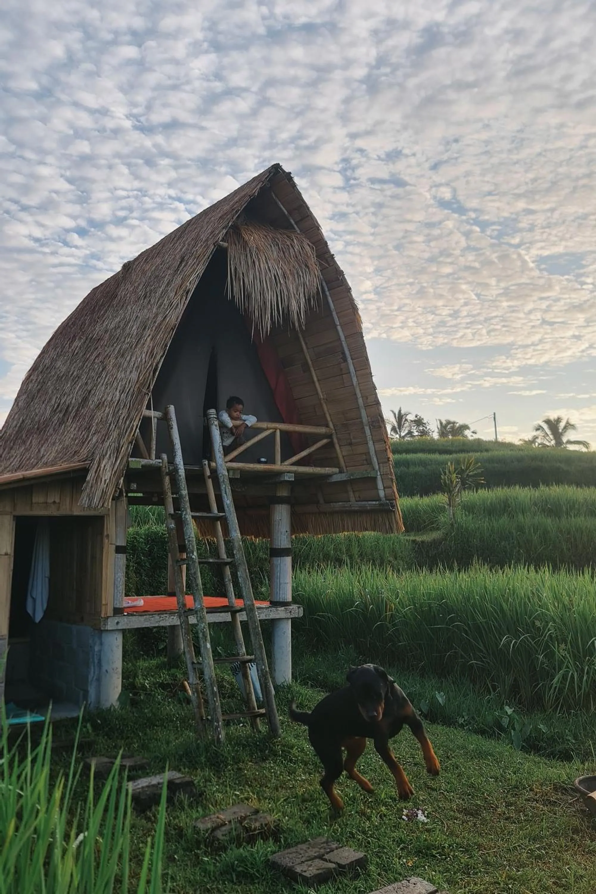 Natural landscape in Swaha Retreat & Eco Park Ubud
