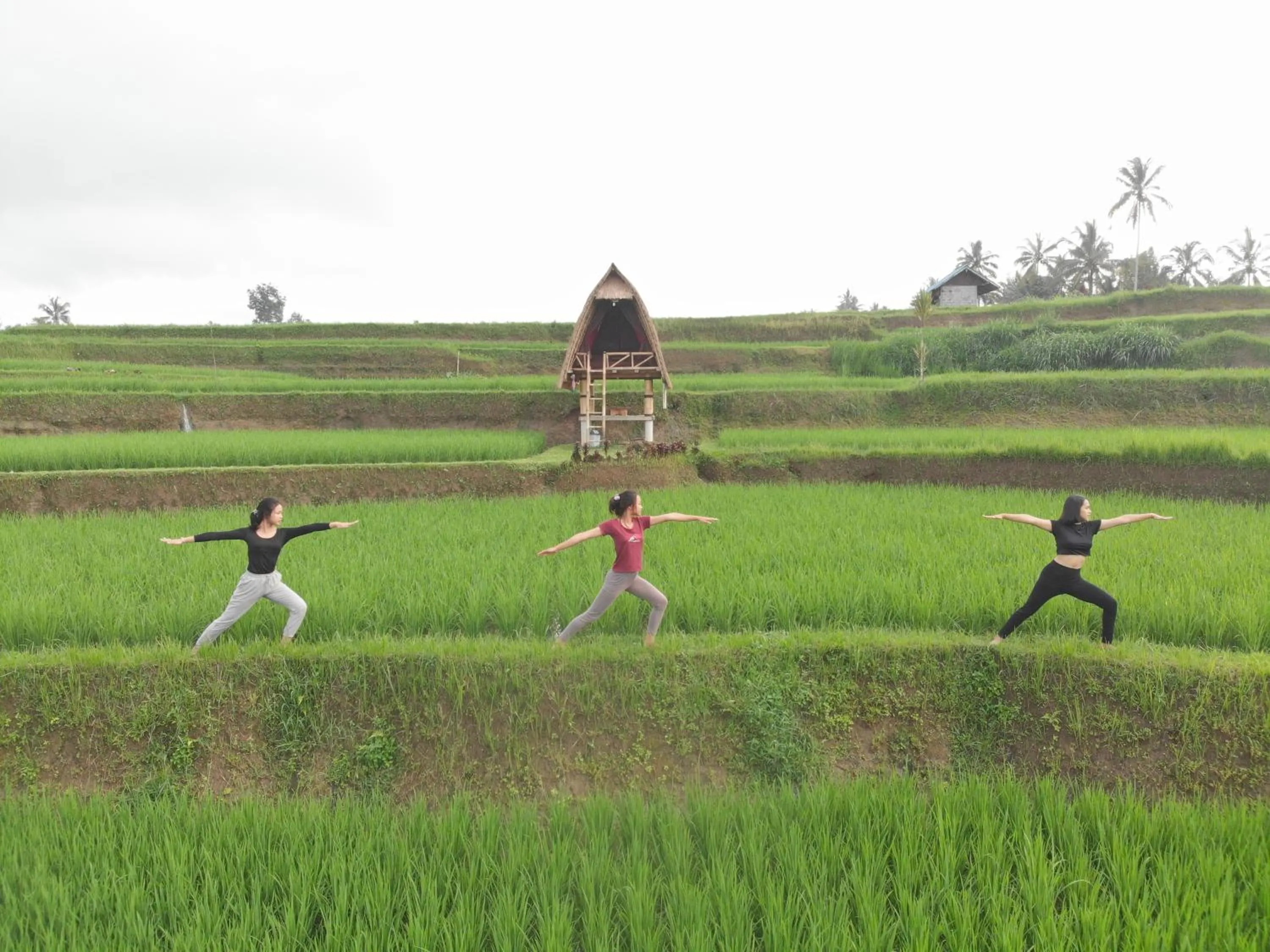 Activities in Swaha Retreat & Eco Park Ubud