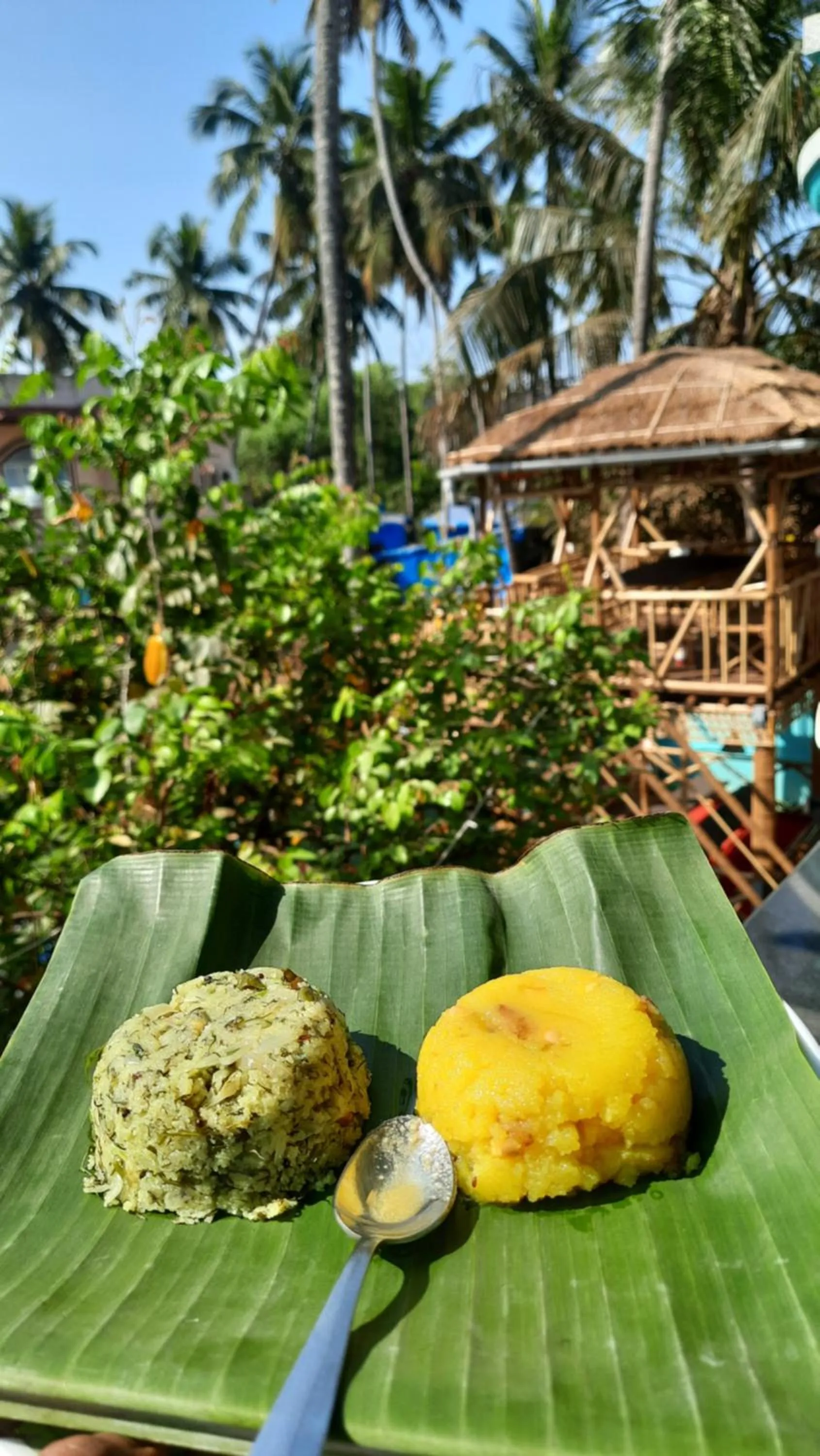 Food in Tropical Wave Hostel Morjim Goa