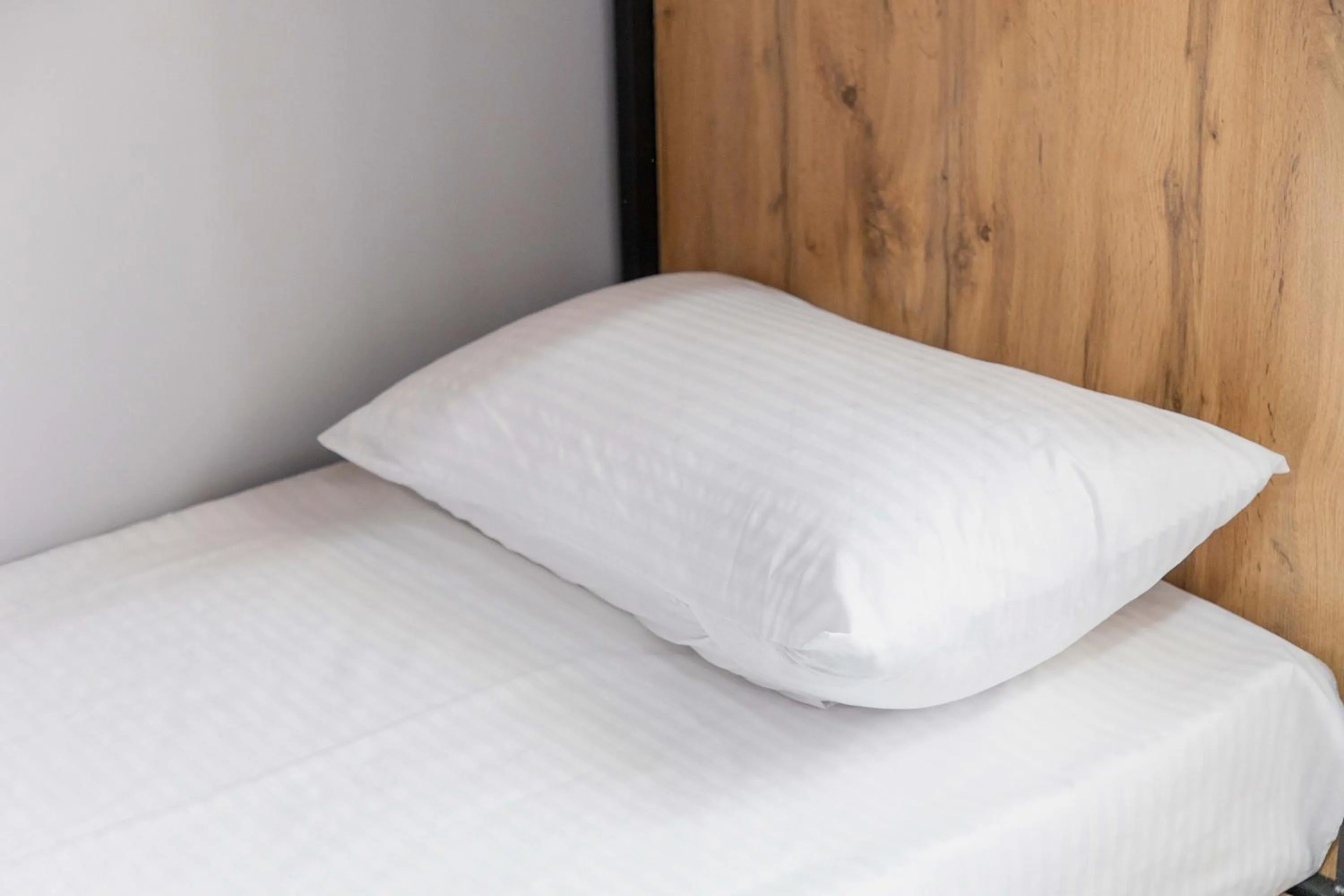 bunk bed, Bed in Safarov's Family Hostel