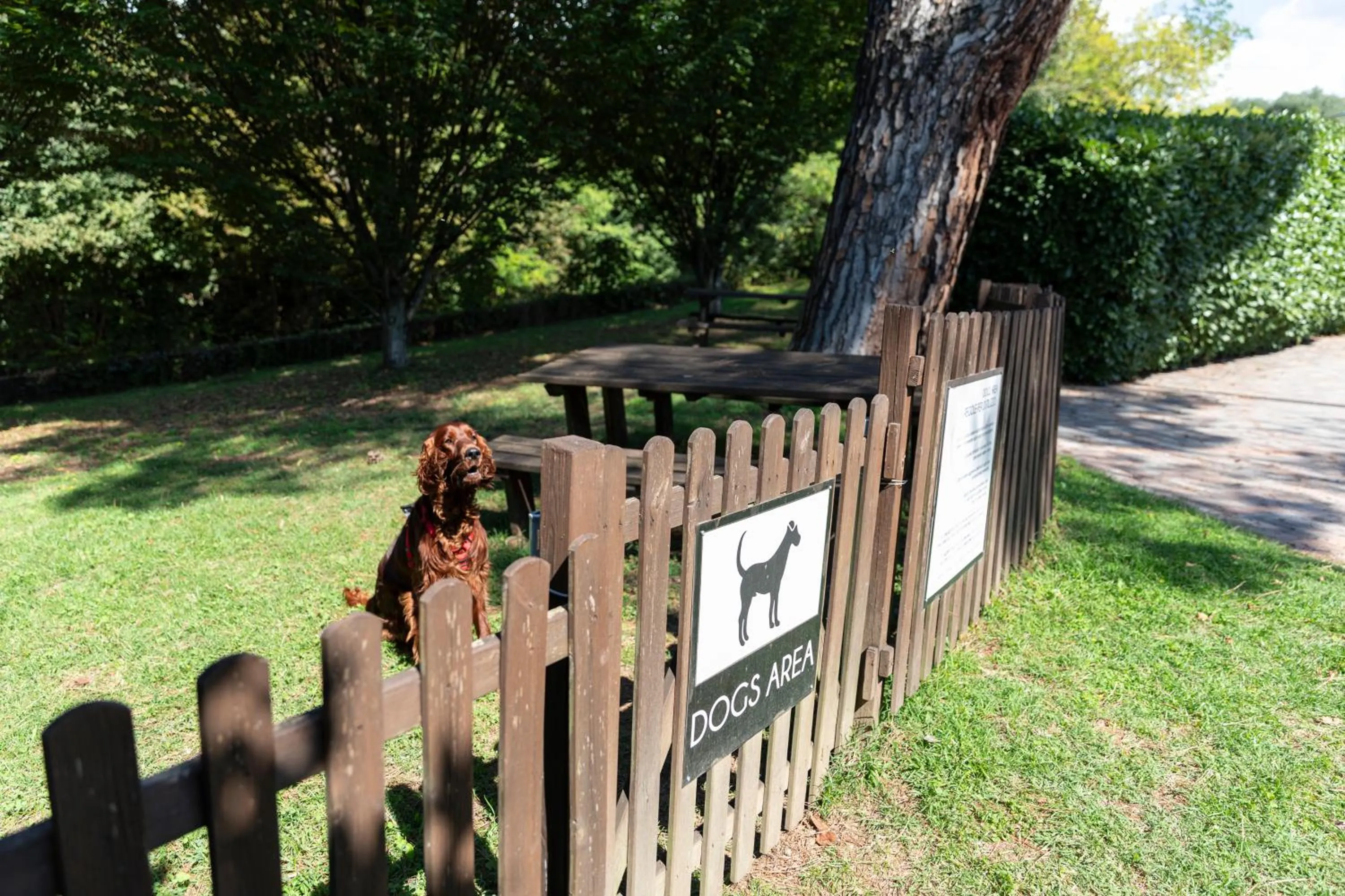 Animals in Hotel Horizon Wellness & Spa Resort - Best Western Signature Collection