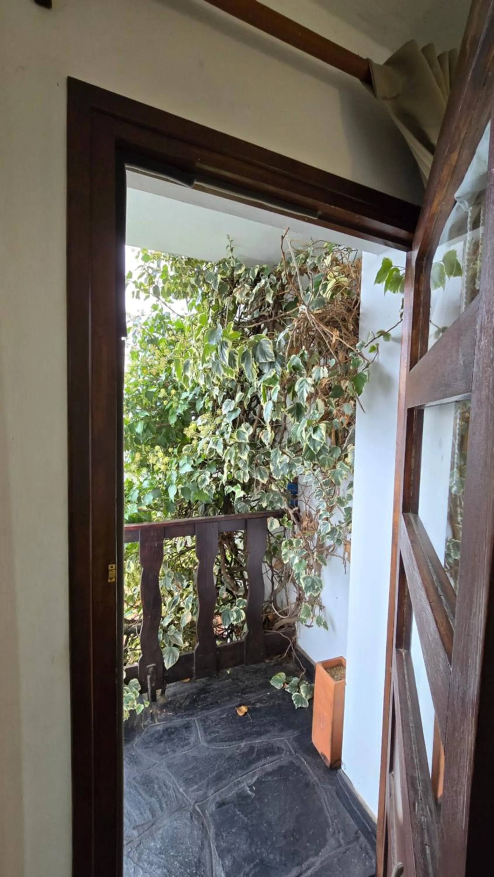 View (from property/room) in Hotel Panorama