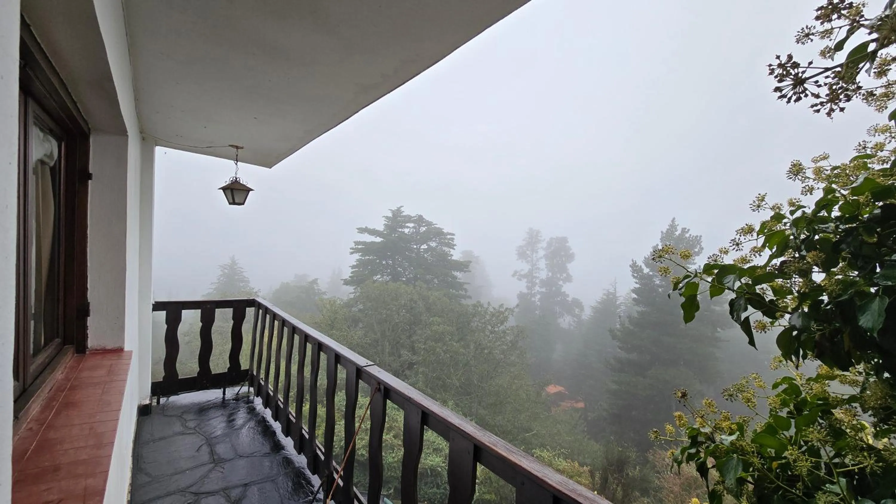 Natural landscape in Hotel Panorama