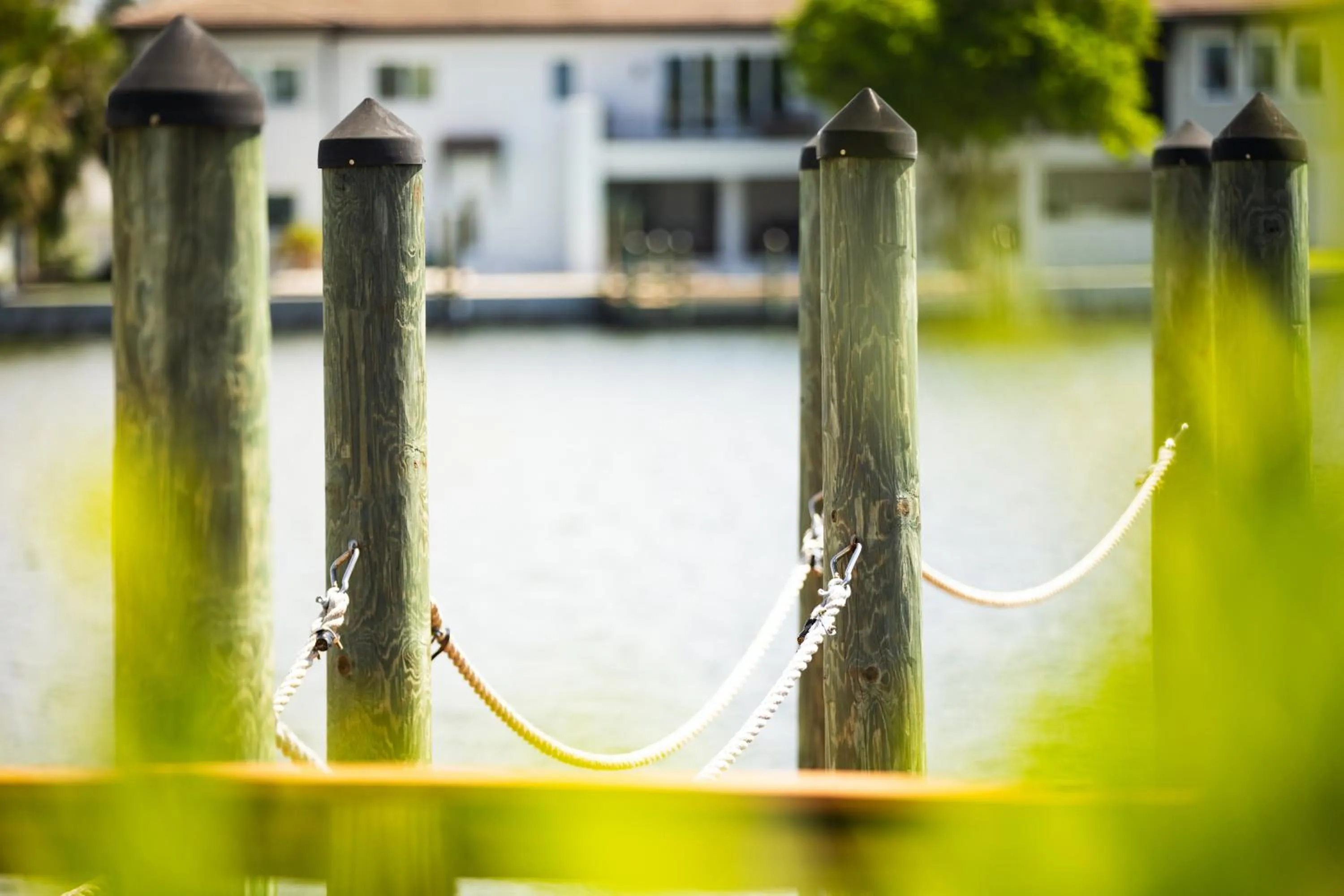 Activities in The Hotel Zamora